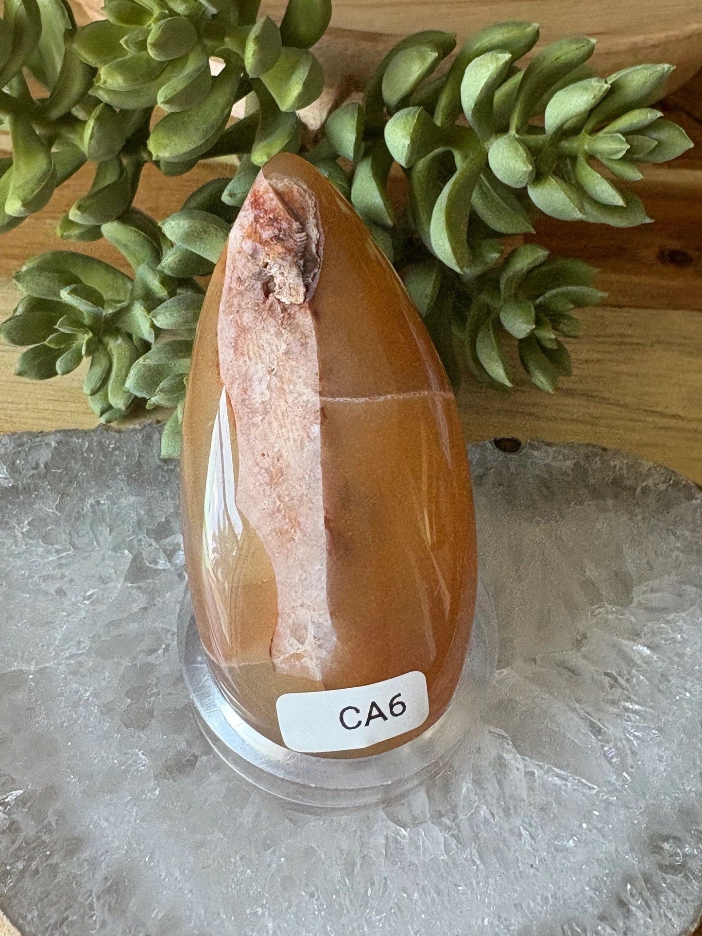 🔥Carnelian Druzy Freeform – Passion, Flow & Inner Fire | 4.70 oz