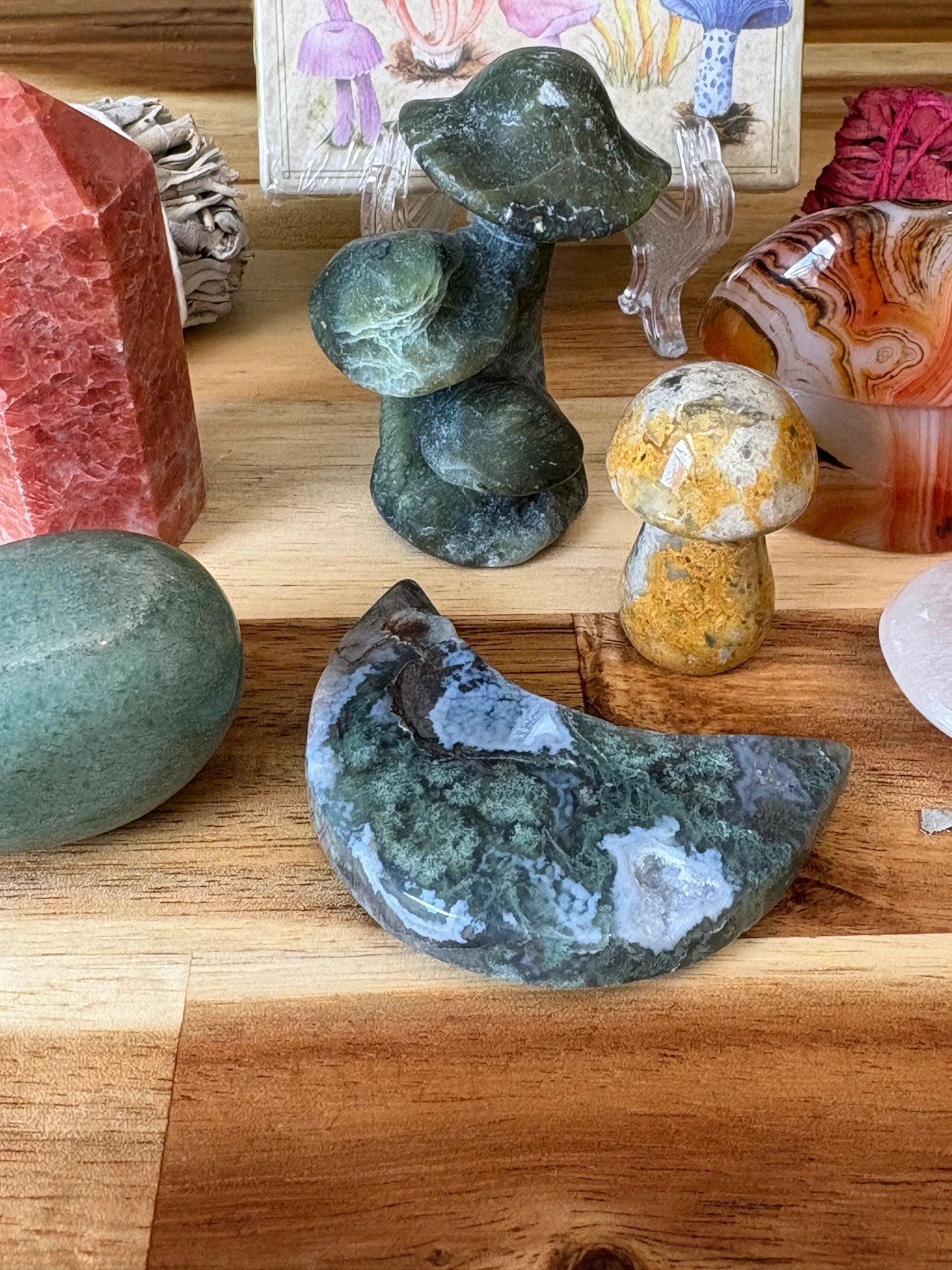 Rooted Realms 🍄 Grounding Crystal Kit | Earth Wisdom • Stability • Protection