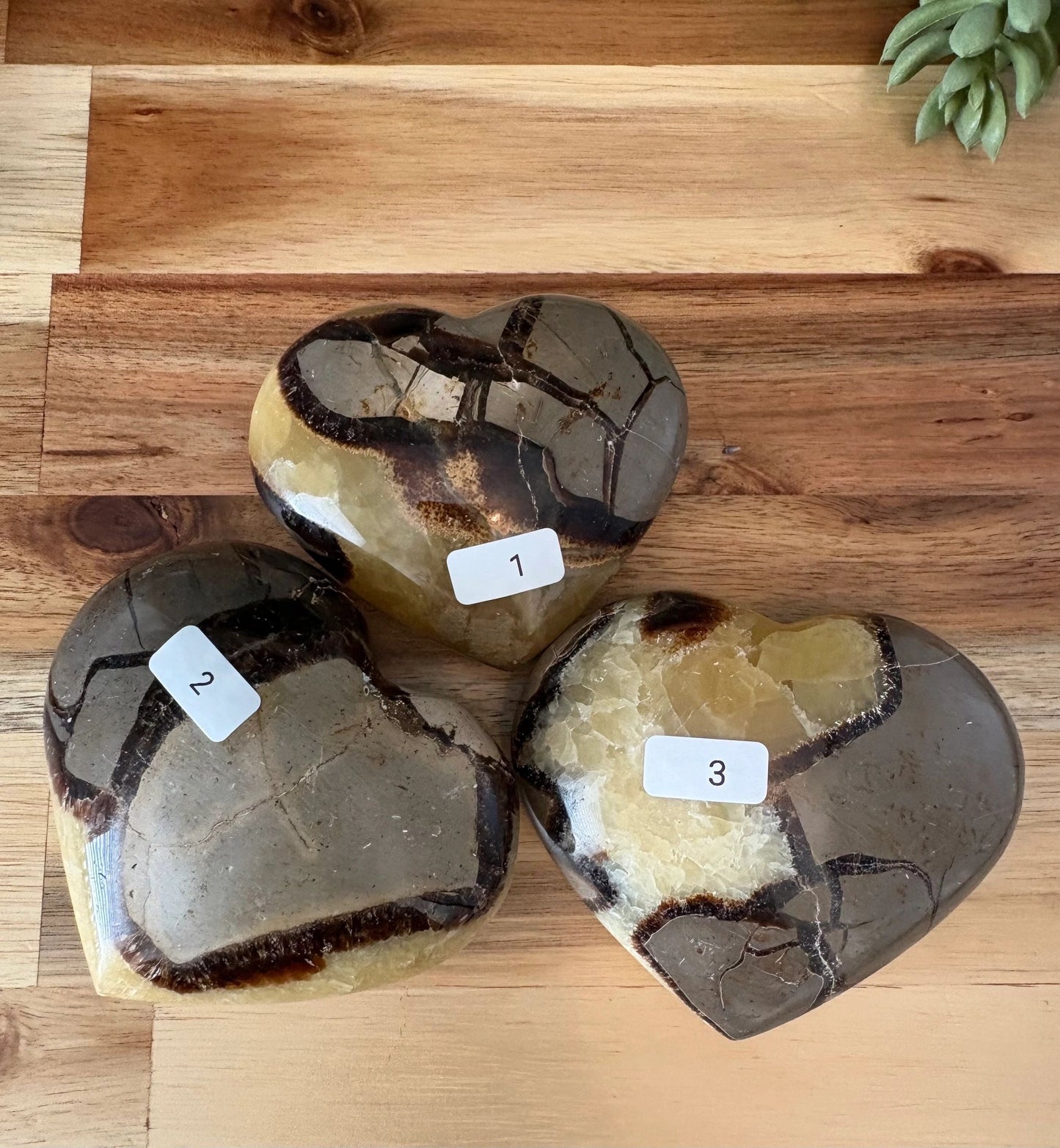 🖤 Septarian Crystal Heart – Grounding, Confidence & Ancient Earth Wisdom