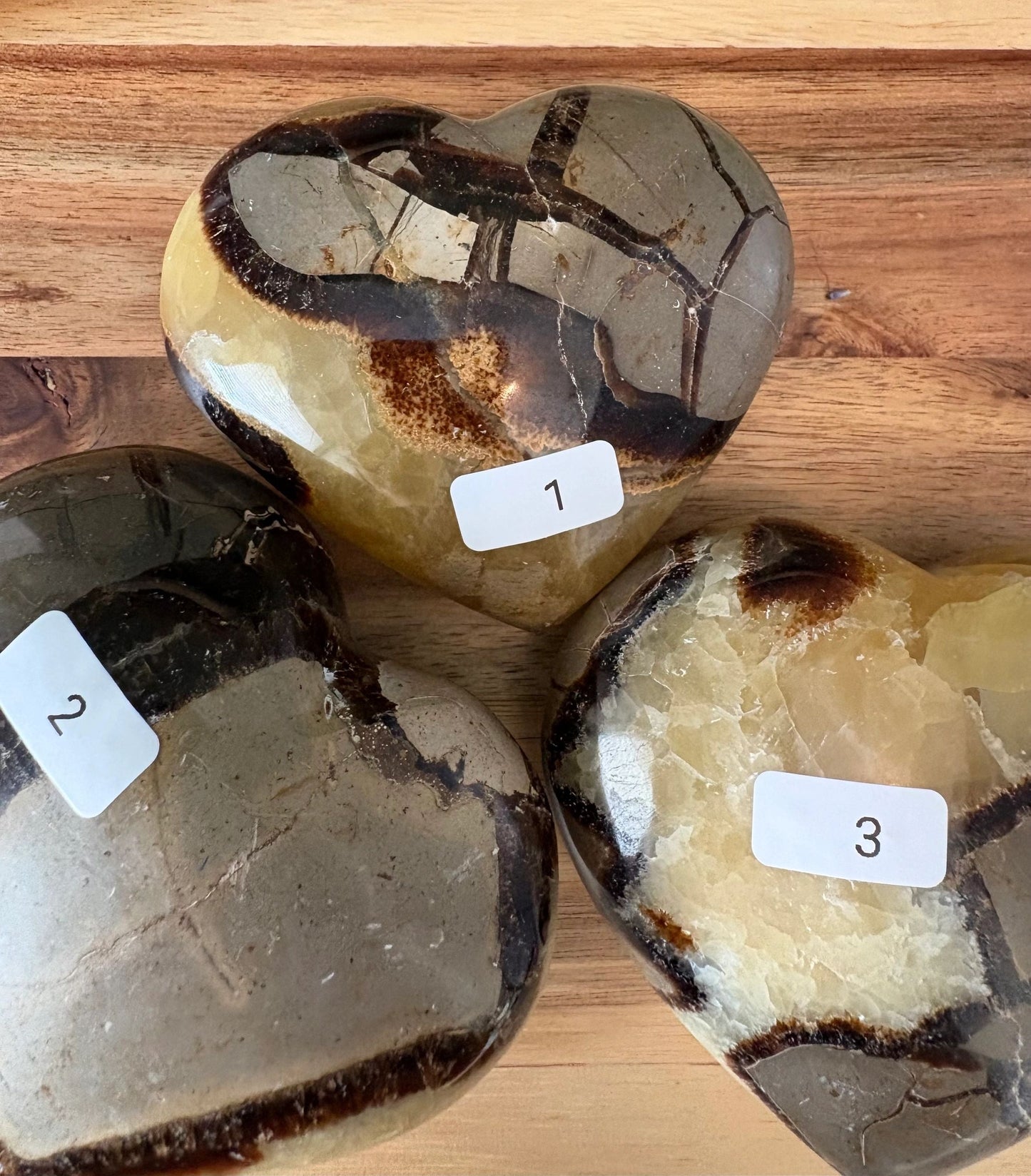 🖤 Septarian Crystal Heart – Grounding, Confidence & Ancient Earth Wisdom