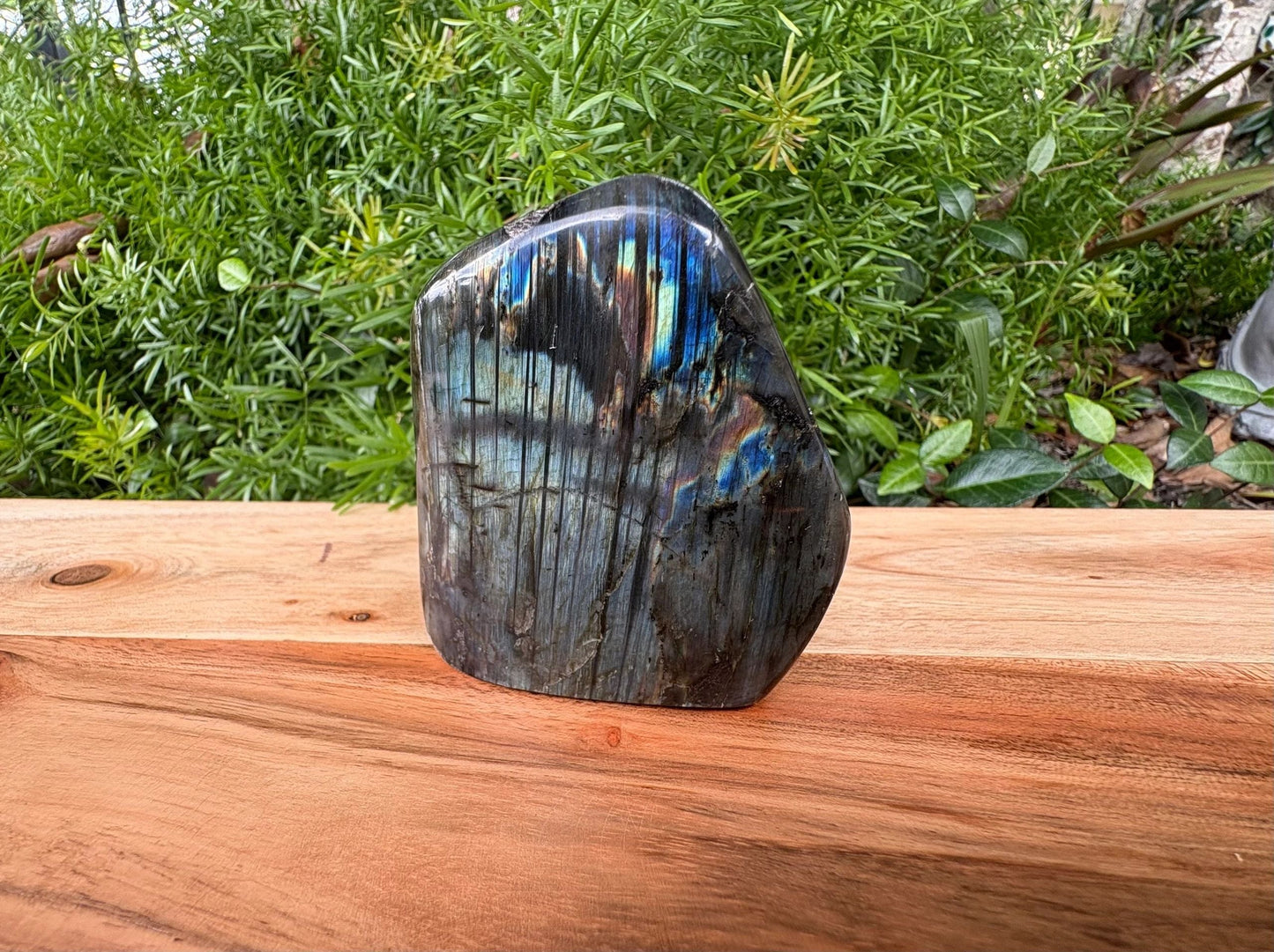 High Quality Double Sided Rainbow Labradorite Crystal Free Form 💫 Intuition • Radiance • Energetic Shielding