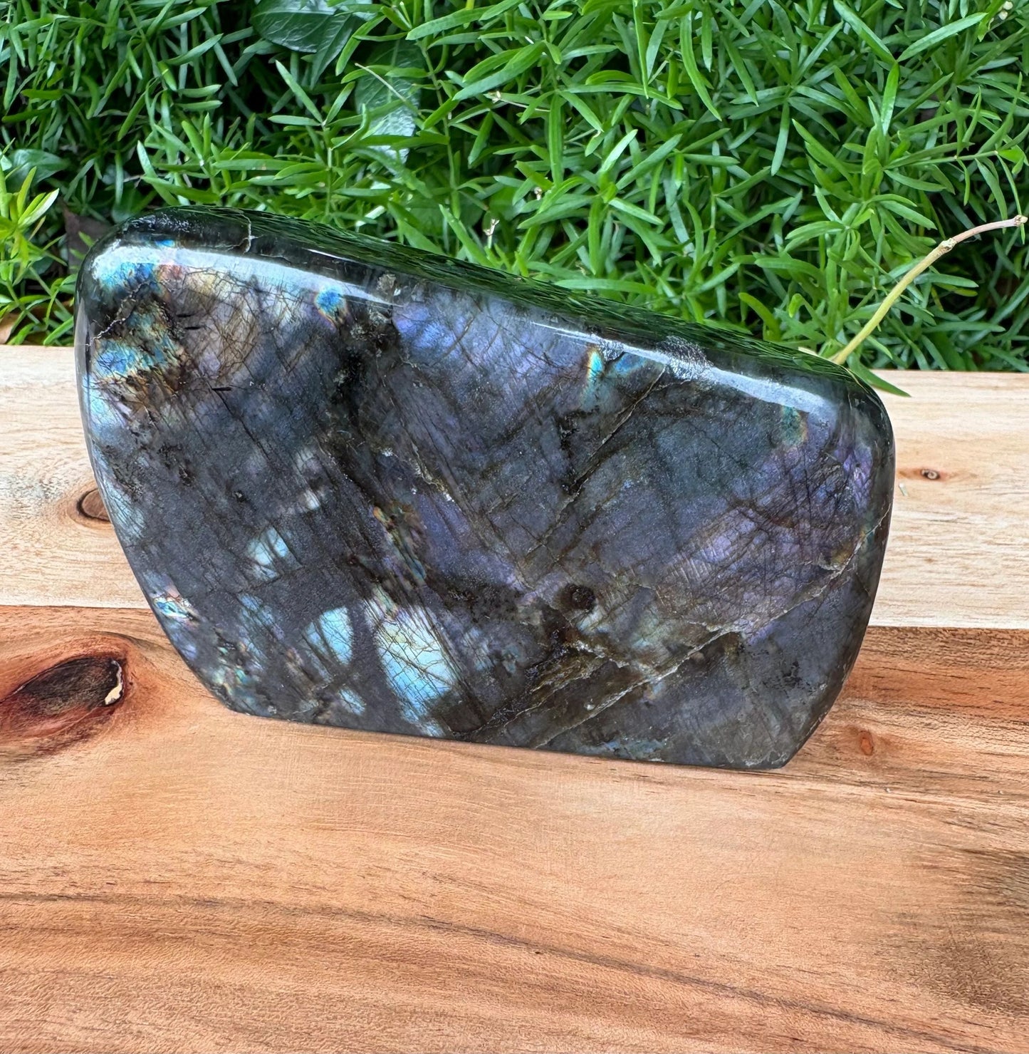 Rainbow Labradorite Crystal Free Form 💫 Intuition • Transformation • Aura Protection
