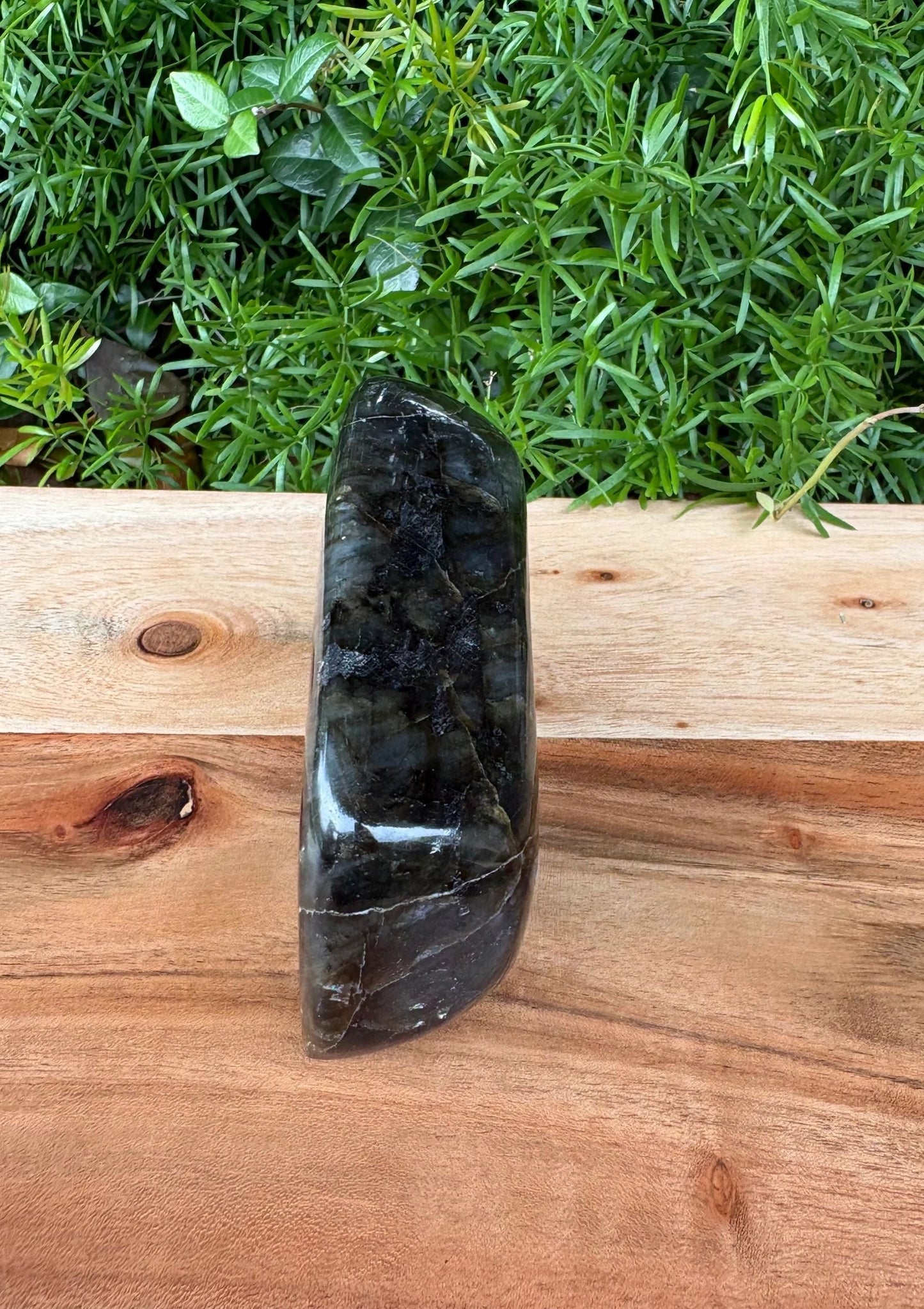 Rainbow Labradorite Crystal Free Form 💫 Intuition • Transformation • Aura Protection