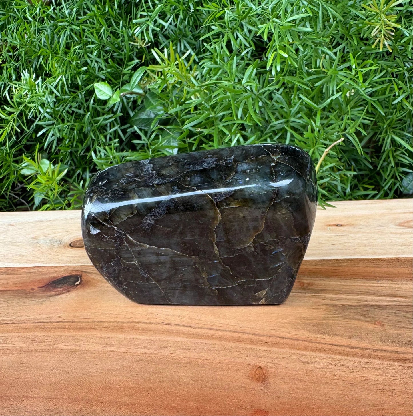 Rainbow Labradorite Crystal Free Form 💫 Intuition • Transformation • Aura Protection