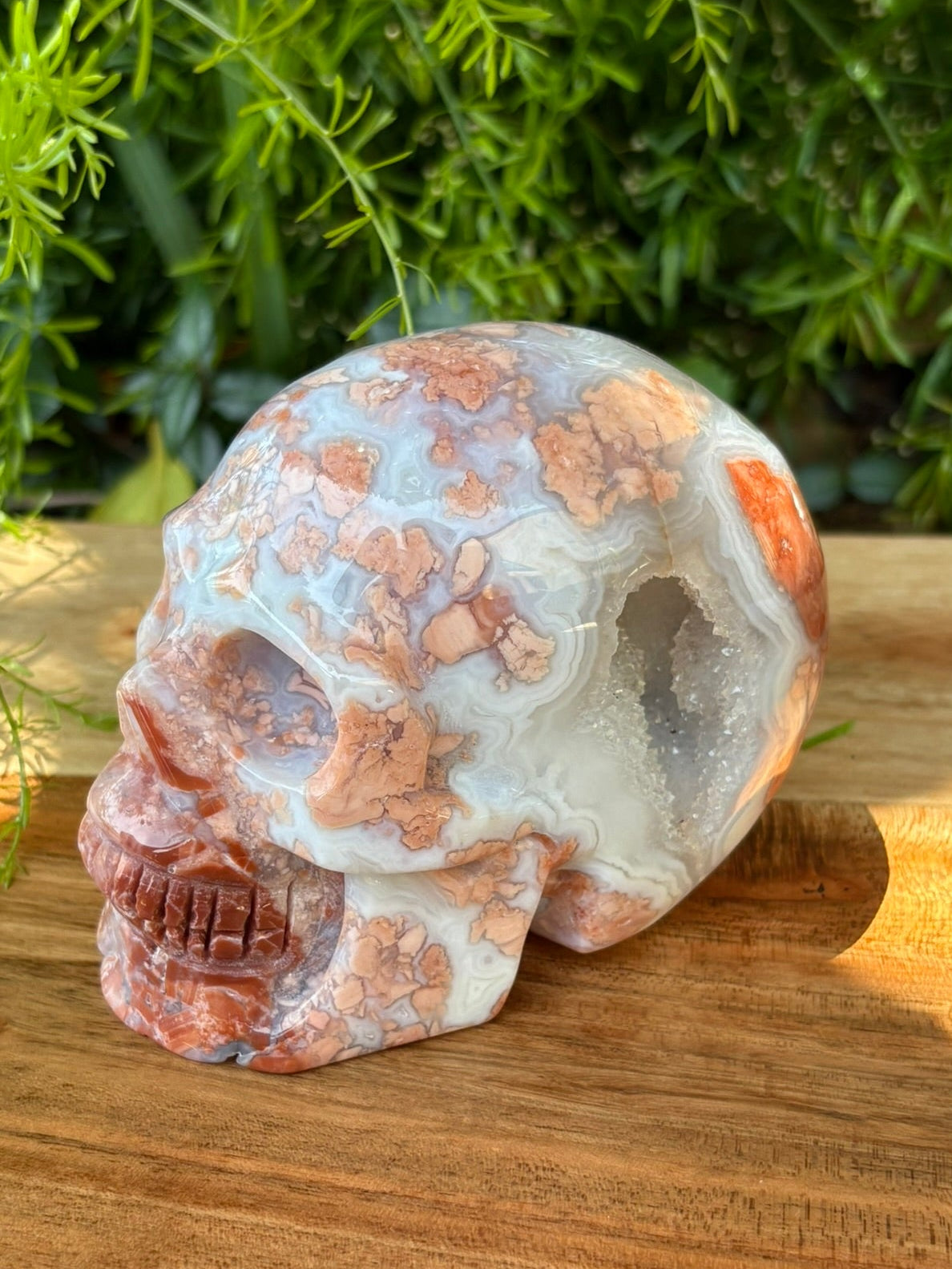 💀 Petal Agate Skull – Crown Activation • Third Eye Vision • Ancestral Spark Code: PPA1 | Approx. 4.1" x 2.6" x 3.2" | Weight: 1.62 lbs.