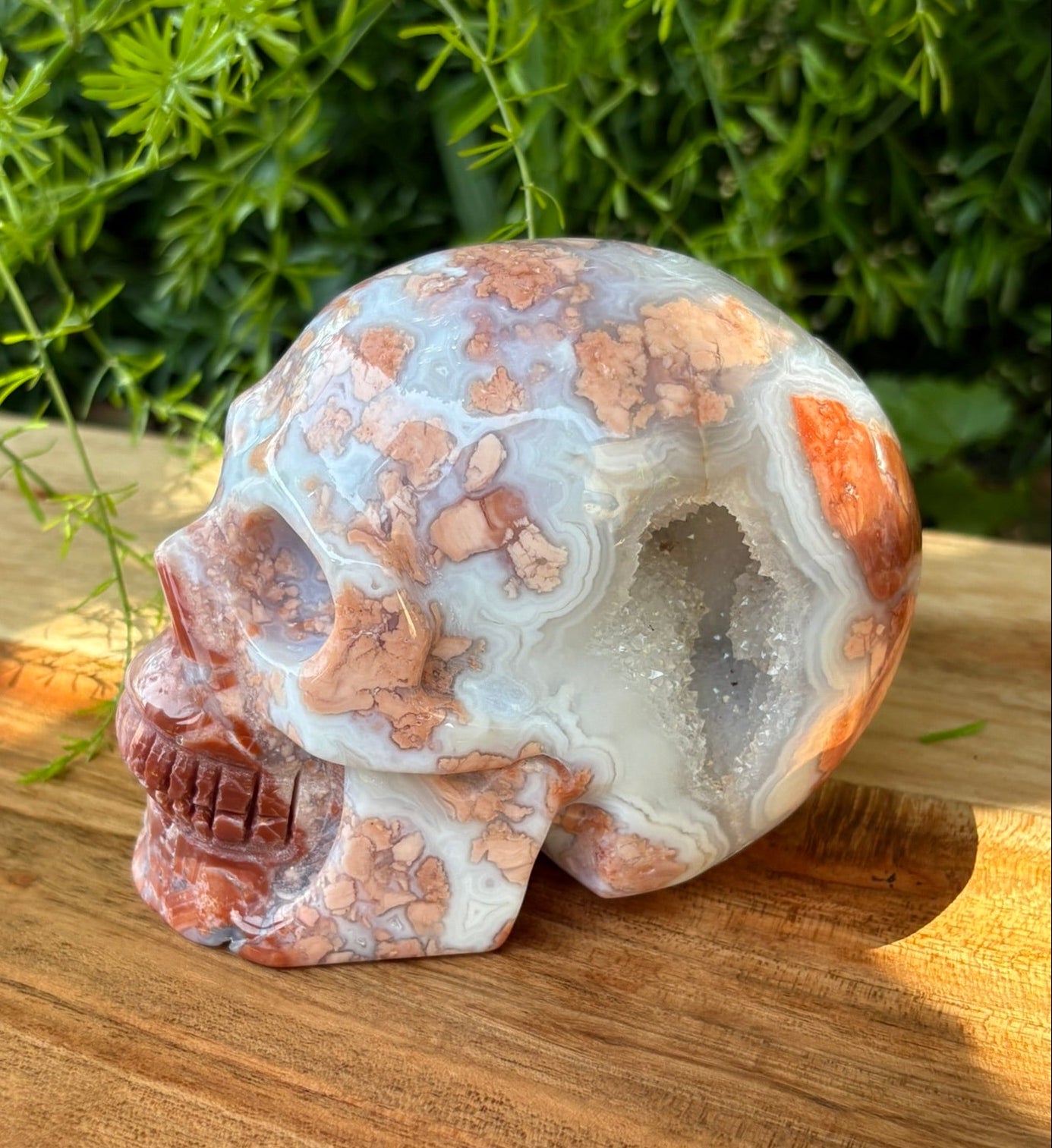 💀 Petal Agate Skull – Crown Activation • Third Eye Vision • Ancestral Spark Code: PPA1 | Approx. 4.1" x 2.6" x 3.2" | Weight: 1.62 lbs.