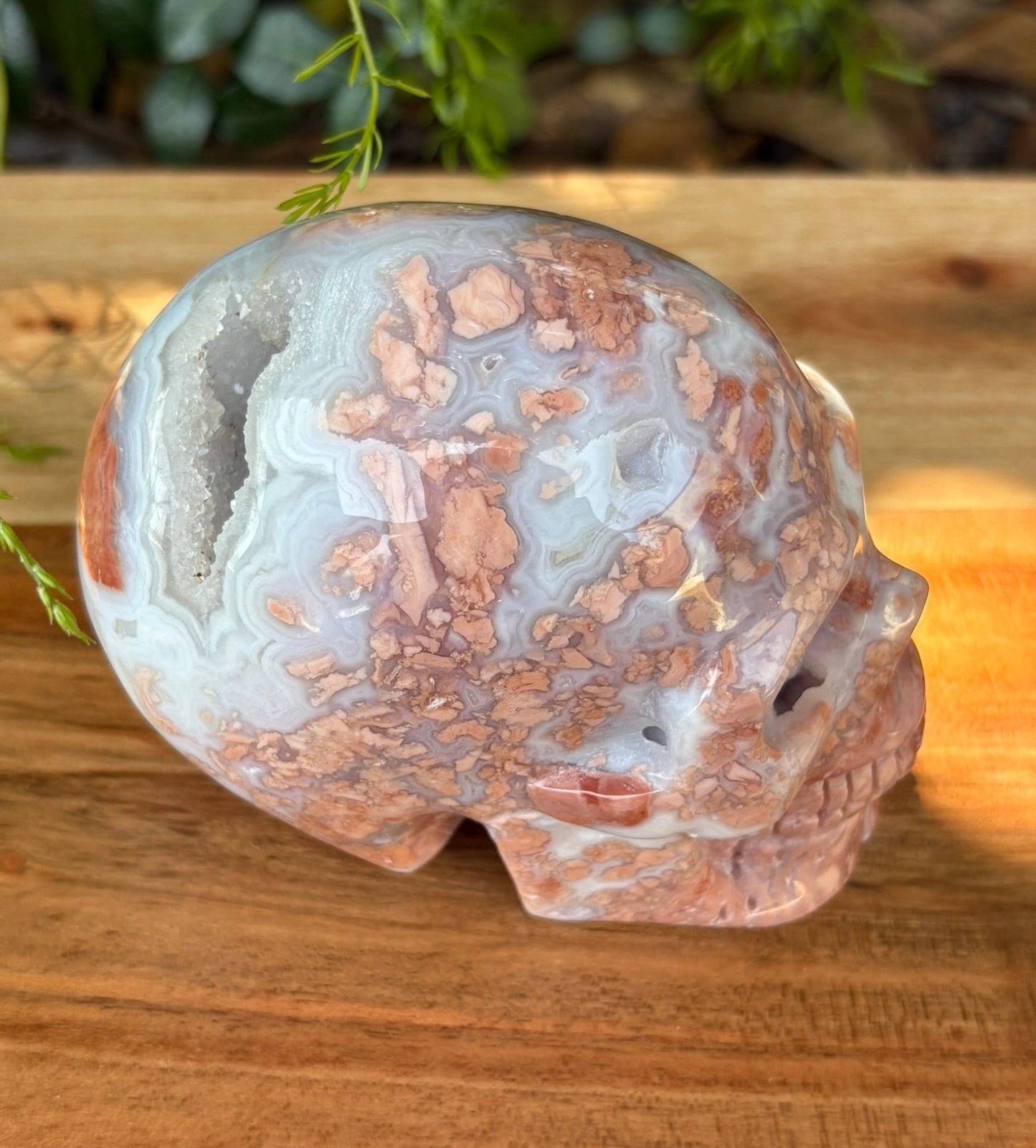 💀 Petal Agate Skull – Crown Activation • Third Eye Vision • Ancestral Spark Code: PPA1 | Approx. 4.1" x 2.6" x 3.2" | Weight: 1.62 lbs.