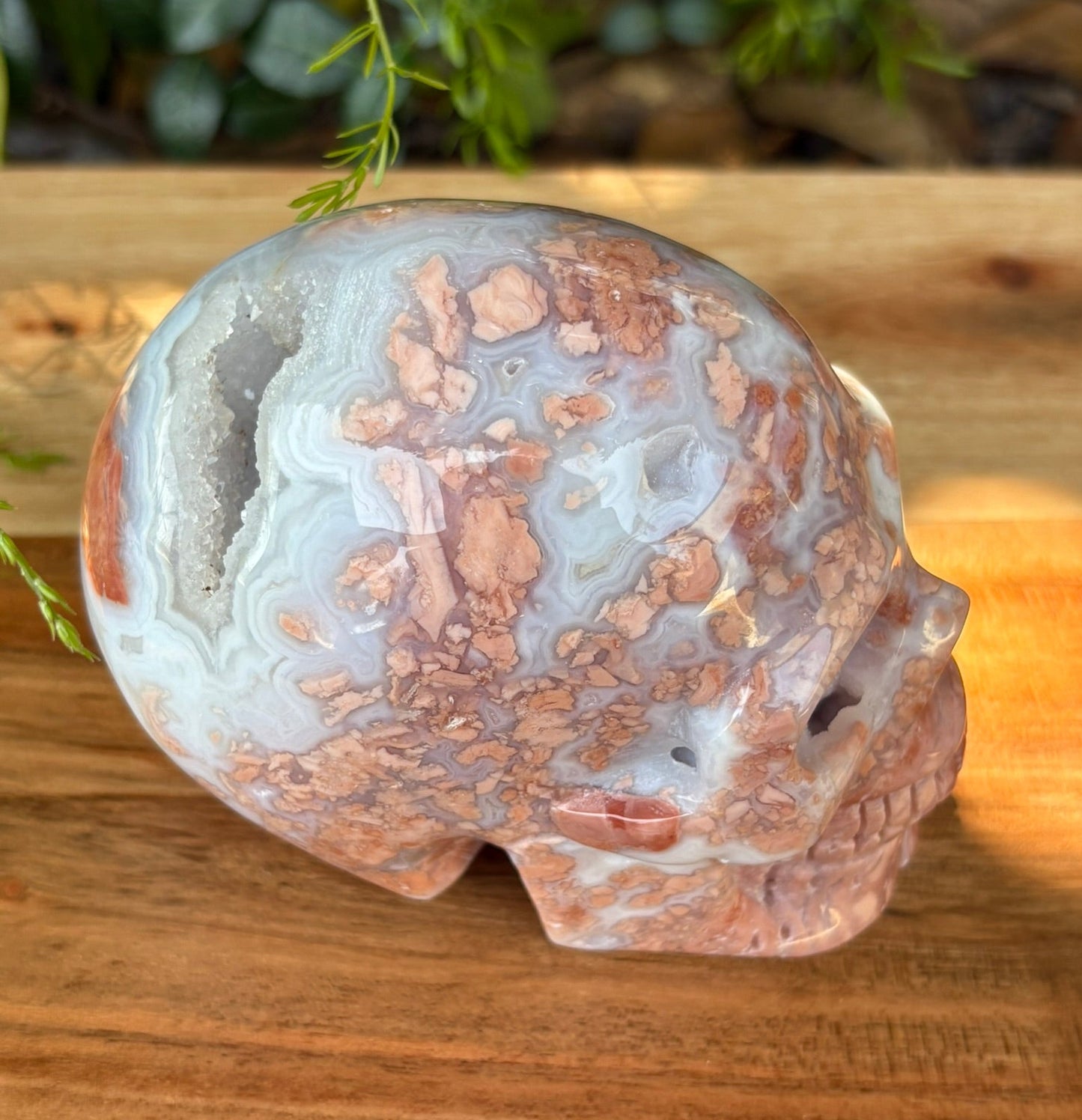 💀 Petal Agate Skull – Crown Activation • Third Eye Vision • Ancestral Spark Code: PPA1 | Approx. 4.1" x 2.6" x 3.2" | Weight: 1.62 lbs.