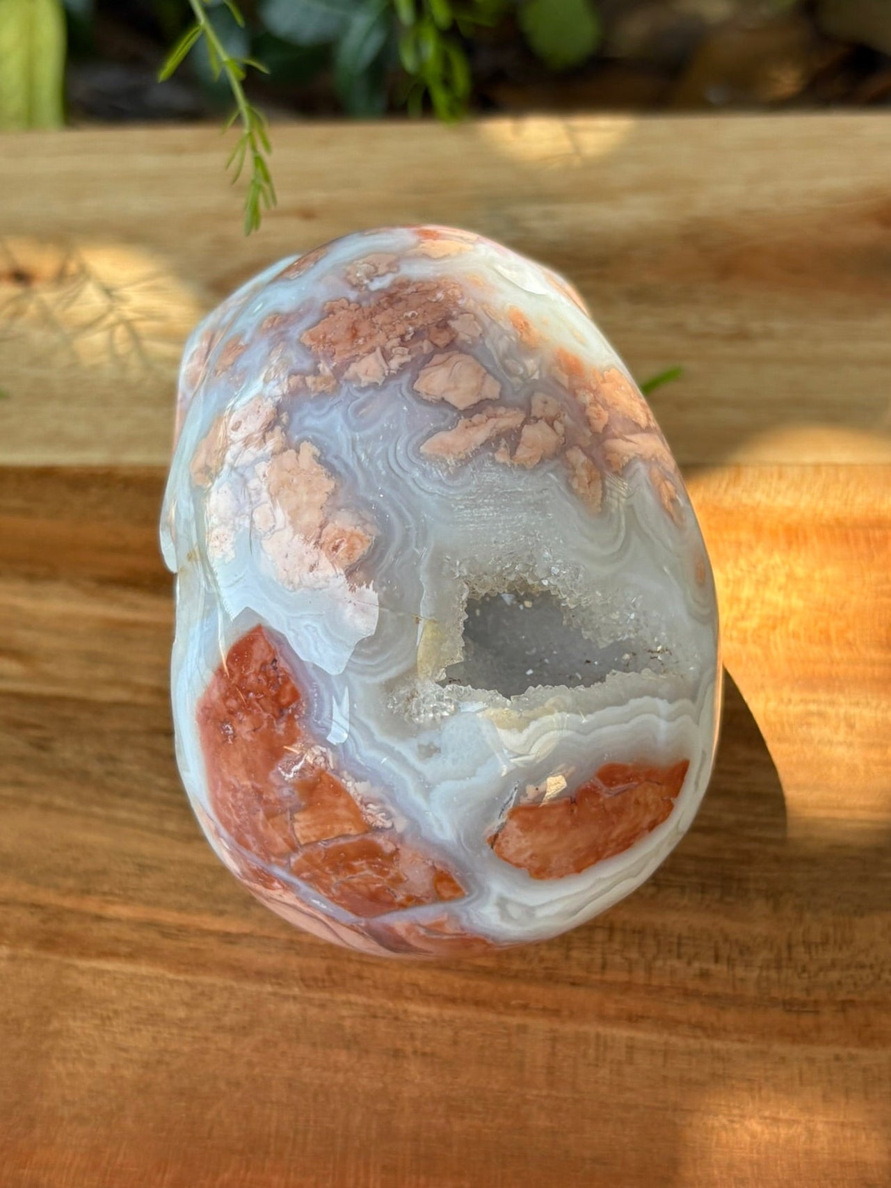 💀 Petal Agate Skull – Crown Activation • Third Eye Vision • Ancestral Spark Code: PPA1 | Approx. 4.1" x 2.6" x 3.2" | Weight: 1.62 lbs.