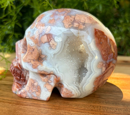 💀 Petal Agate Skull – Crown Activation • Third Eye Vision • Ancestral Spark Code: PPA1 | Approx. 4.1" x 2.6" x 3.2" | Weight: 1.62 lbs.