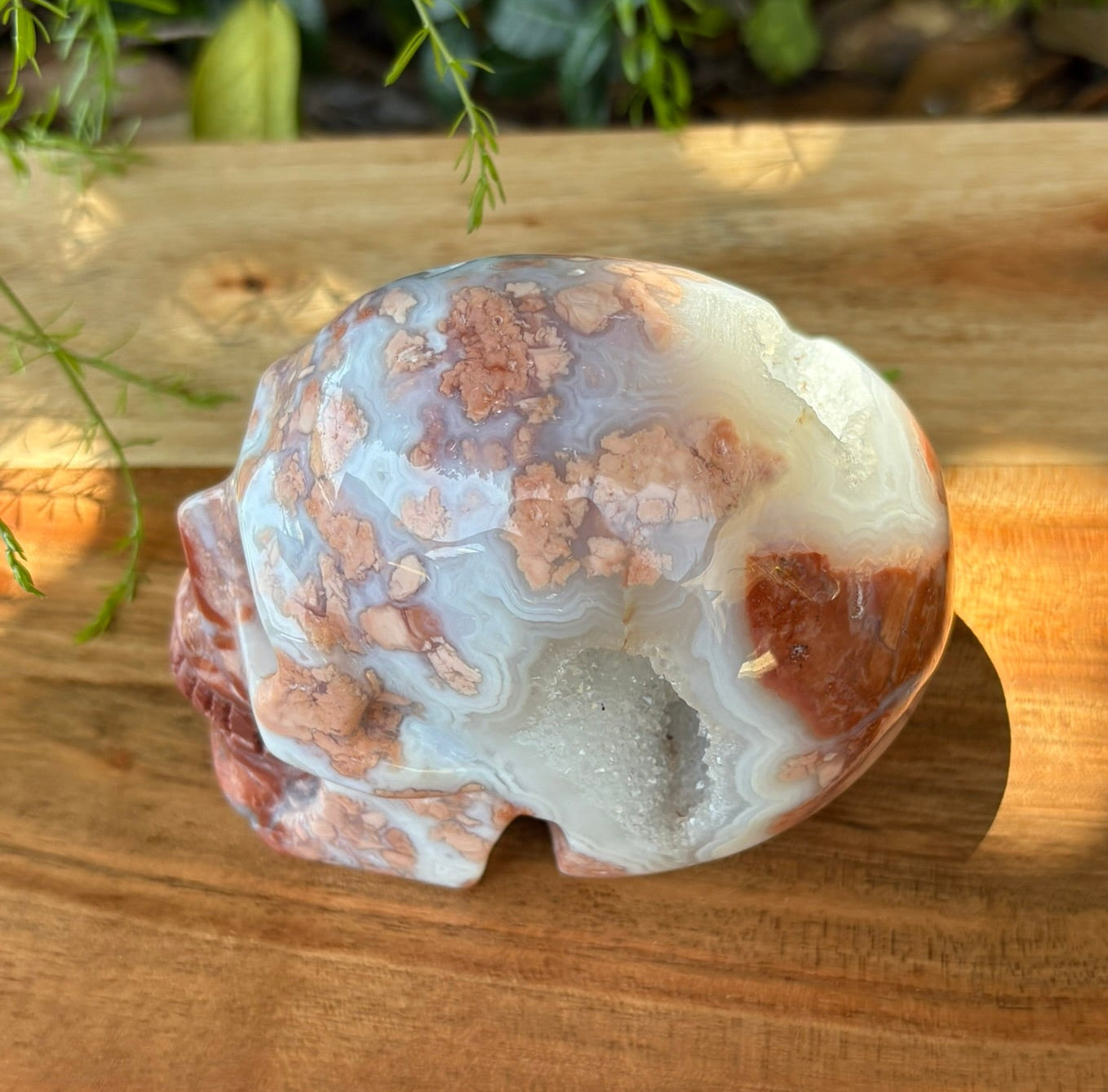 💀 Petal Agate Skull – Crown Activation • Third Eye Vision • Ancestral Spark Code: PPA1 | Approx. 4.1" x 2.6" x 3.2" | Weight: 1.62 lbs.