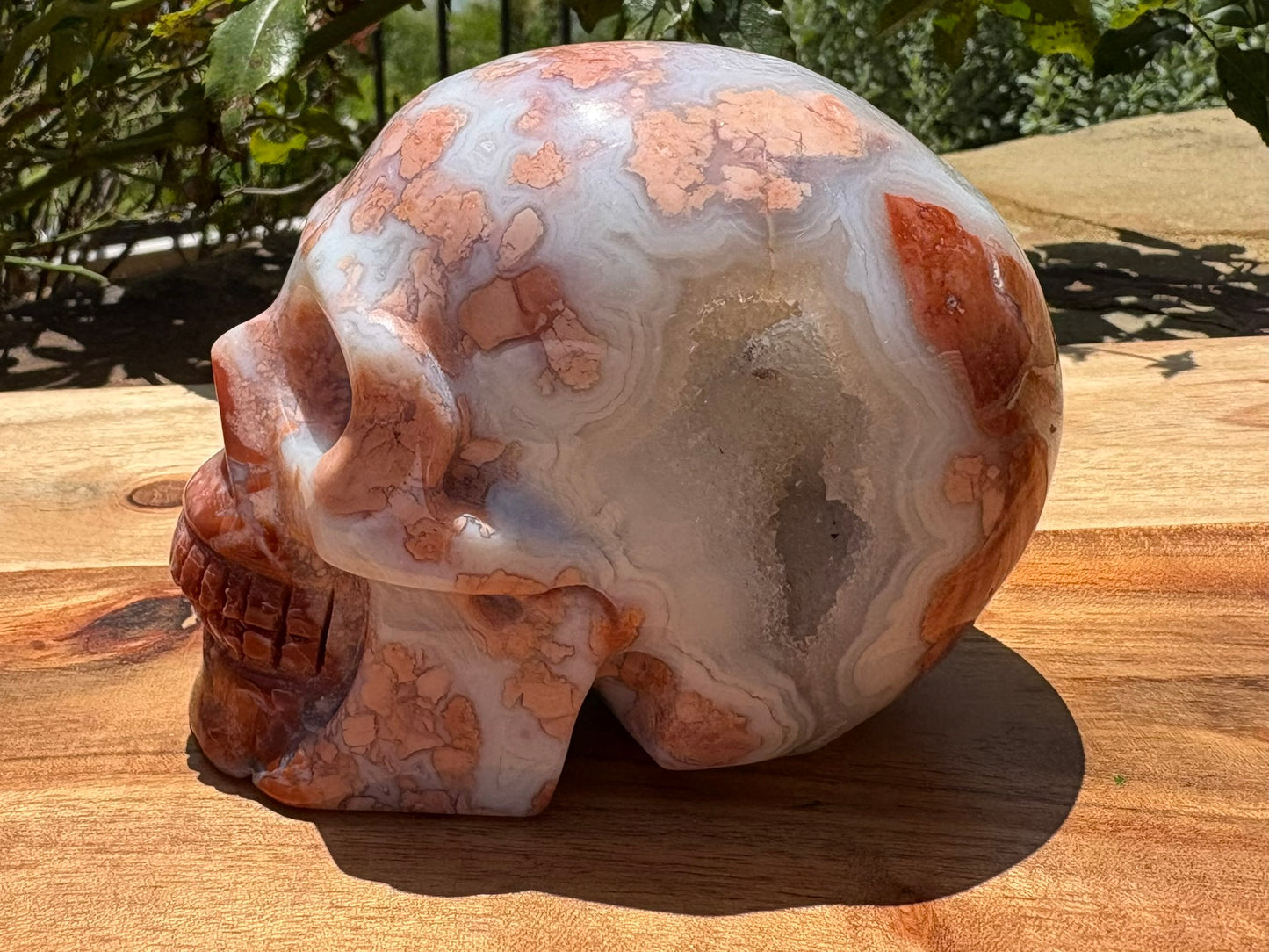 💀 Petal Agate Skull – Crown Activation • Third Eye Vision • Ancestral Spark Code: PPA1 | Approx. 4.1" x 2.6" x 3.2" | Weight: 1.62 lbs.