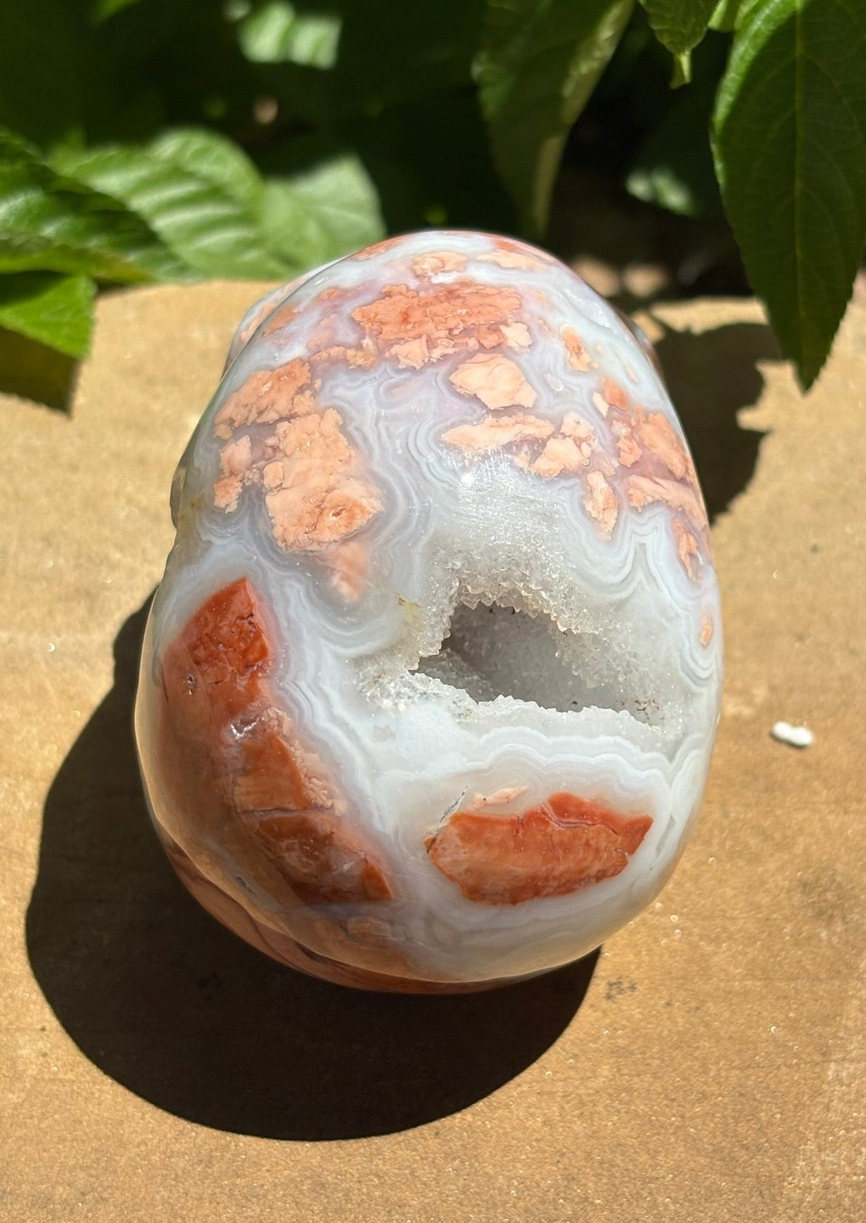 💀 Petal Agate Skull – Crown Activation • Third Eye Vision • Ancestral Spark Code: PPA1 | Approx. 4.1" x 2.6" x 3.2" | Weight: 1.62 lbs.