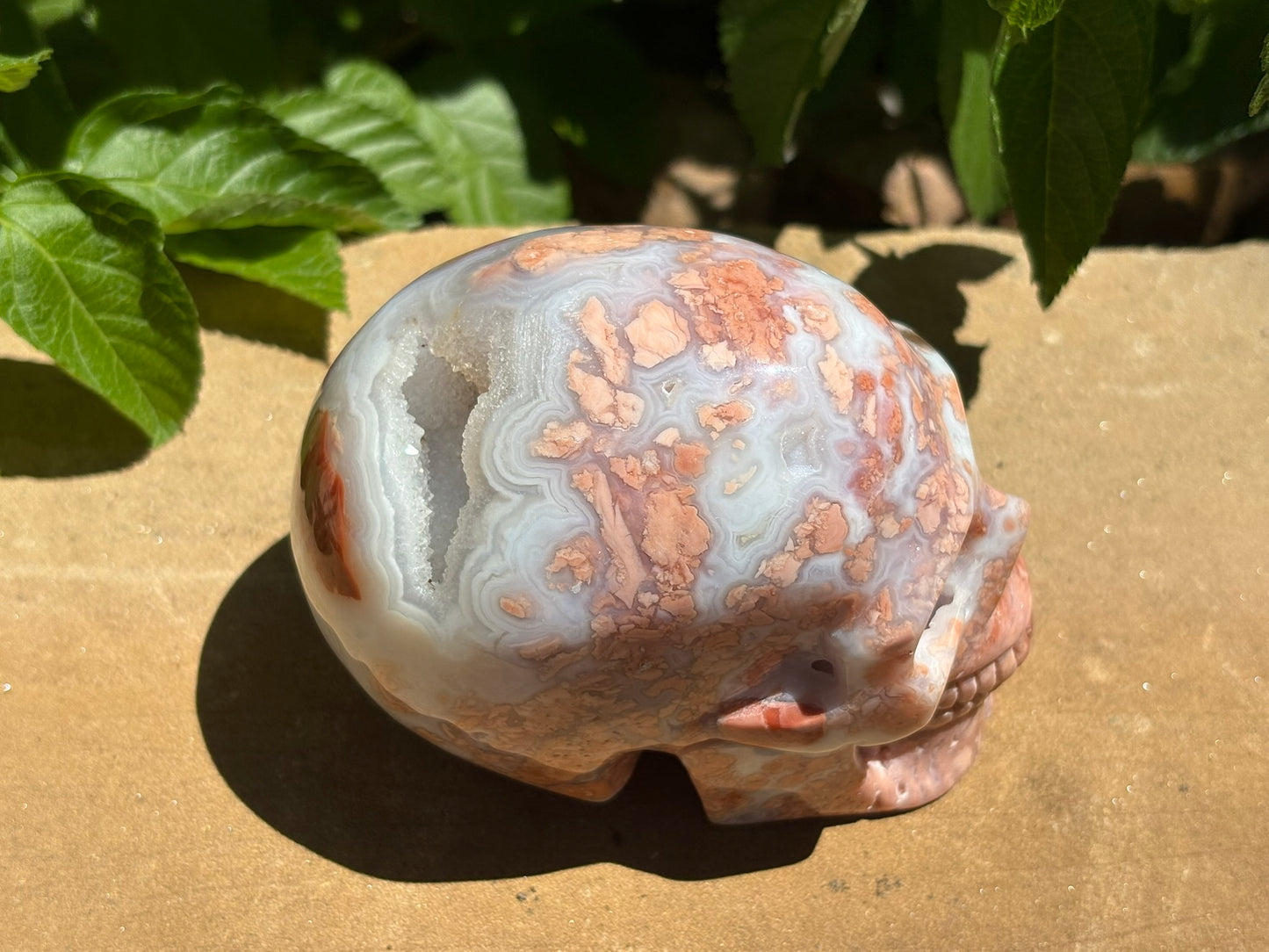 💀 Petal Agate Skull – Crown Activation • Third Eye Vision • Ancestral Spark Code: PPA1 | Approx. 4.1" x 2.6" x 3.2" | Weight: 1.62 lbs.