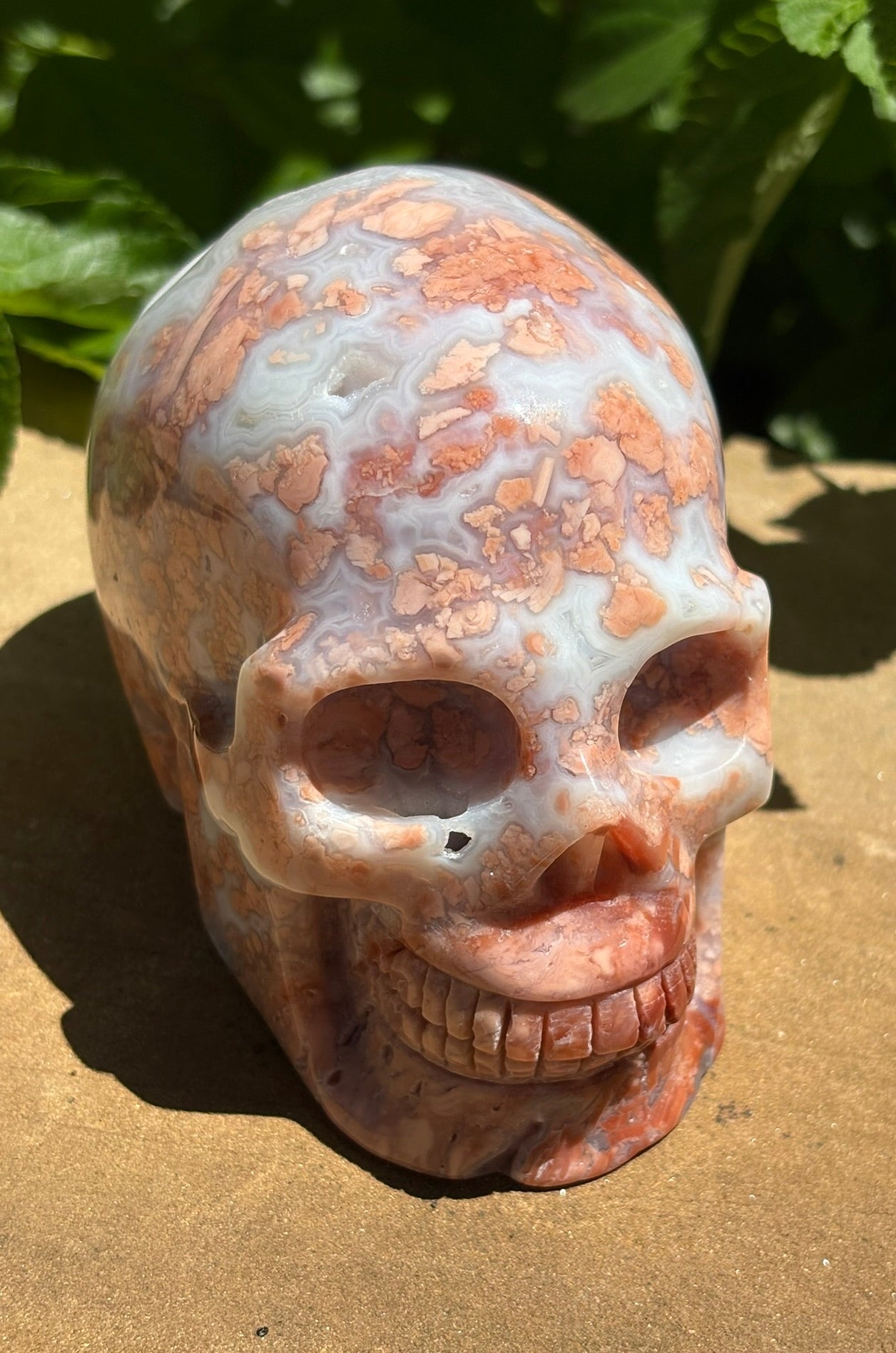 💀 Petal Agate Skull – Crown Activation • Third Eye Vision • Ancestral Spark Code: PPA1 | Approx. 4.1" x 2.6" x 3.2" | Weight: 1.62 lbs.