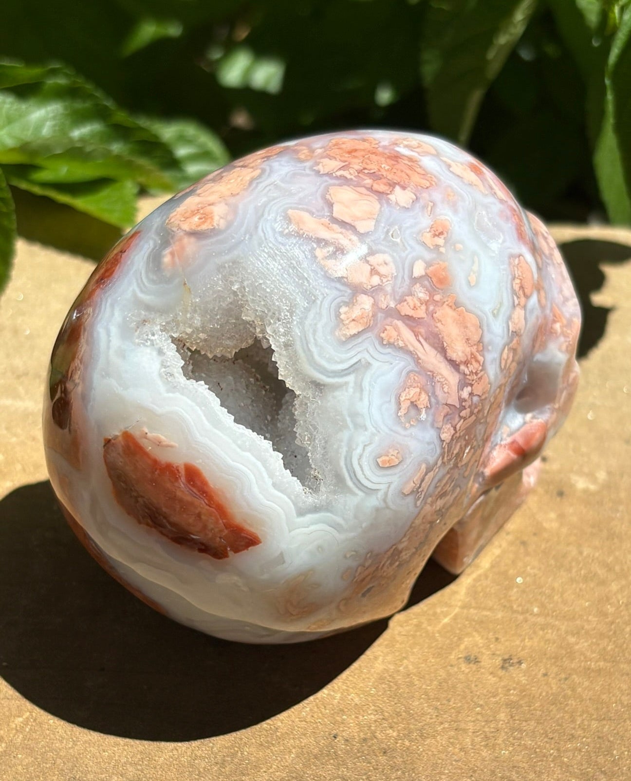 💀 Petal Agate Skull – Crown Activation • Third Eye Vision • Ancestral Spark Code: PPA1 | Approx. 4.1" x 2.6" x 3.2" | Weight: 1.62 lbs.