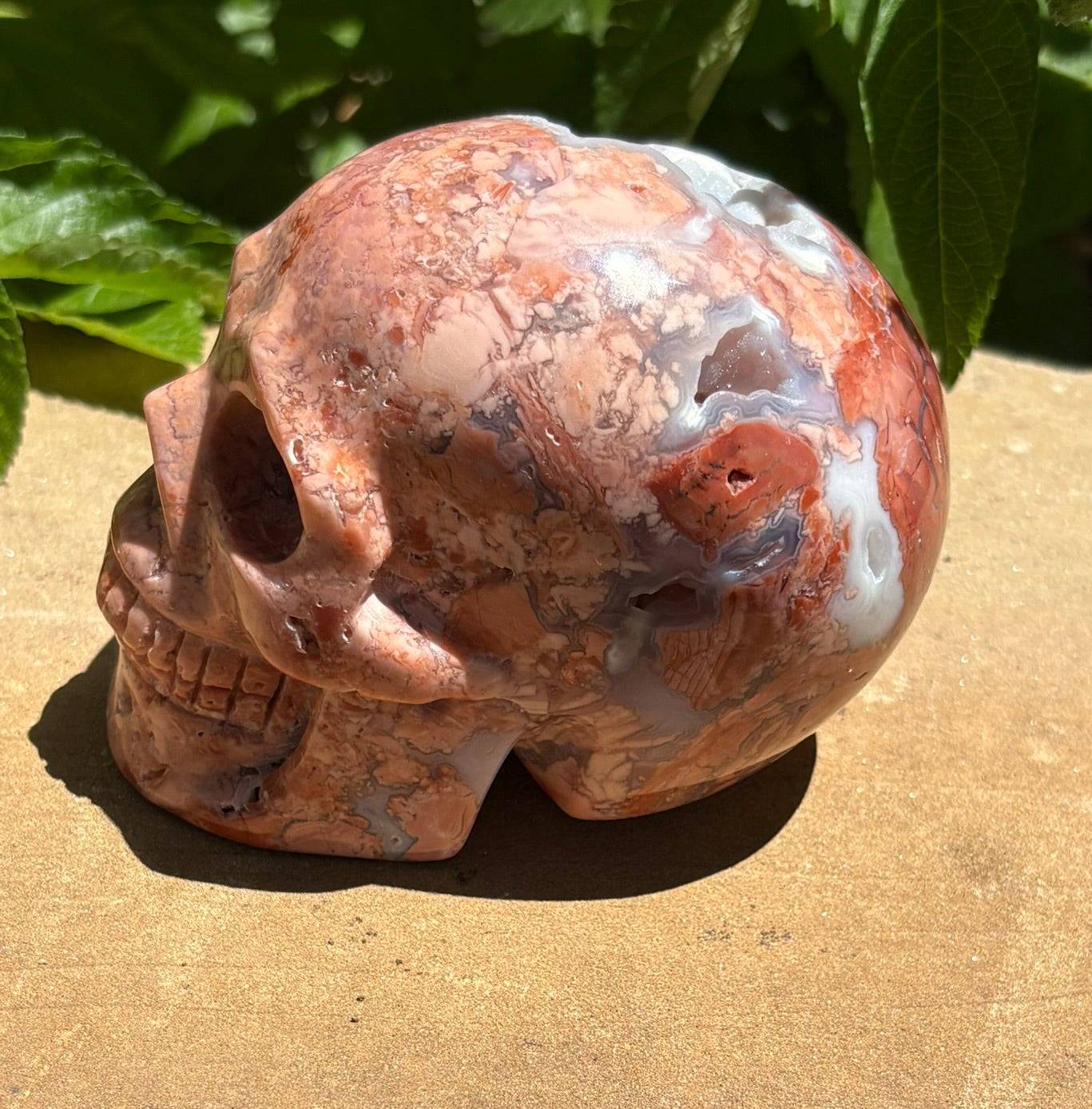 💀 Pink Petal Agate Skull with Druzy Crown – Grounded Joy, Ancient Wisdom & Spiraled Sparkle 1.58 lbs | 4" x 2.5" x 3.1" | Code: PA2