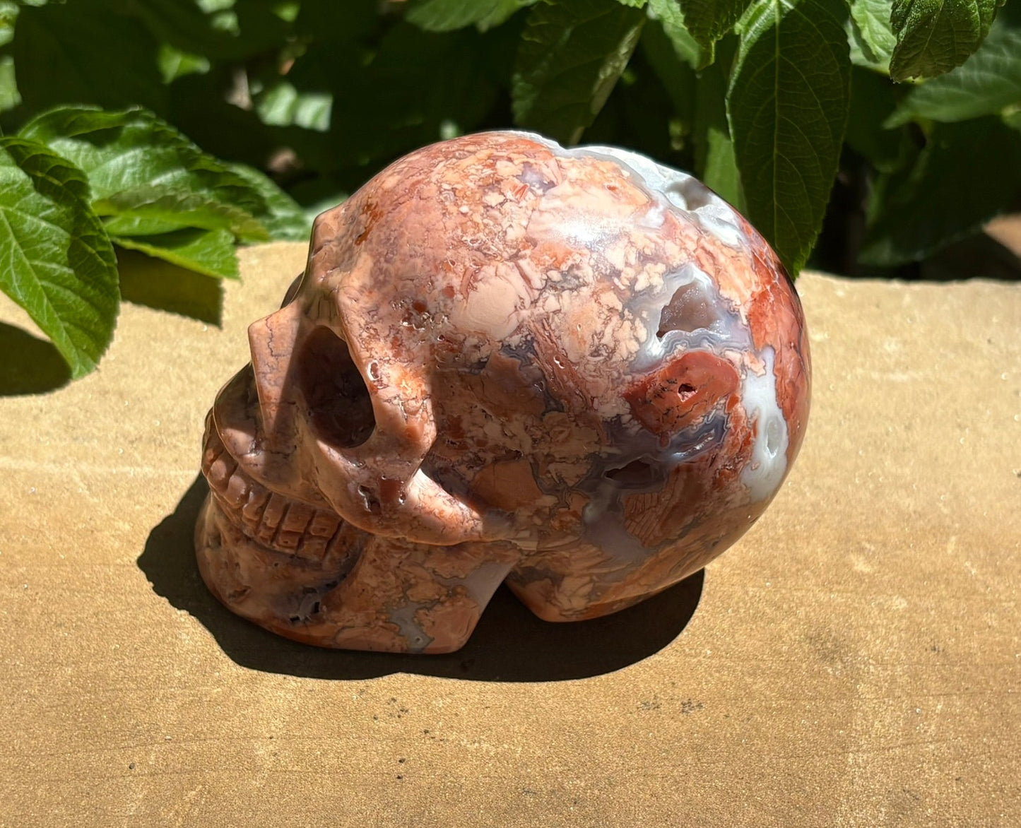 💀 Pink Petal Agate Skull with Druzy Crown – Grounded Joy, Ancient Wisdom & Spiraled Sparkle 1.58 lbs | 4" x 2.5" x 3.1" | Code: PA2