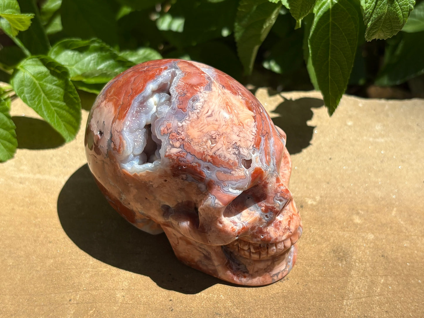 💀 Pink Petal Agate Skull with Druzy Crown – Grounded Joy, Ancient Wisdom & Spiraled Sparkle 1.65 lbs. | 4" x 2.5" x 3" |