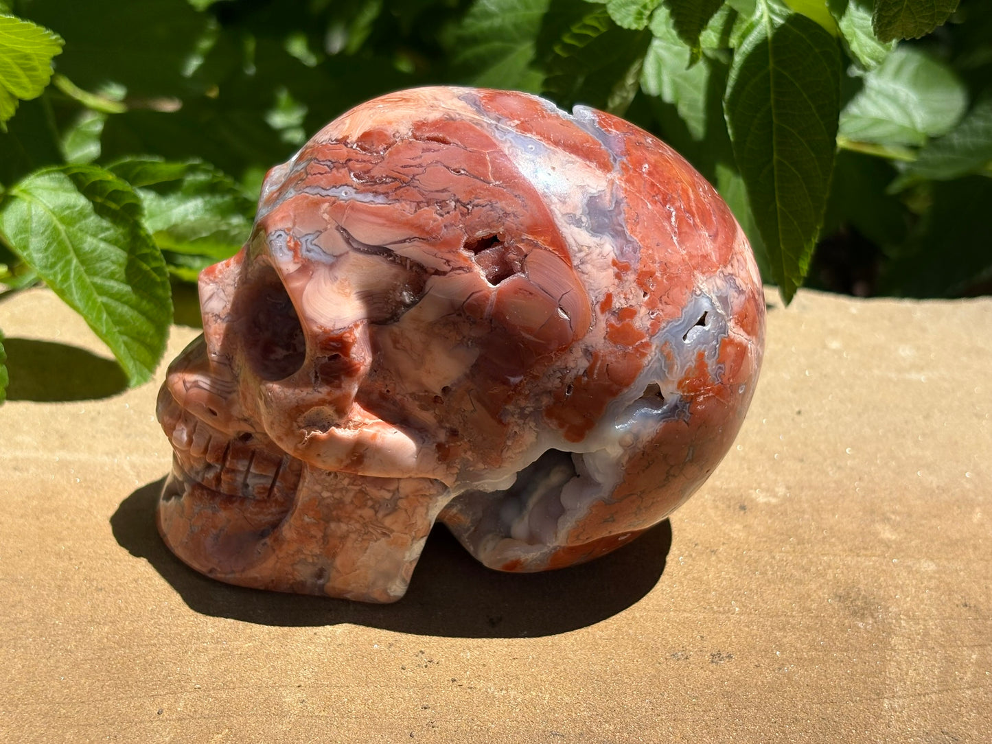 💀 Pink Petal Agate Skull with Druzy Crown – Grounded Joy, Ancient Wisdom & Spiraled Sparkle 1.65 lbs. | 4" x 2.5" x 3" |