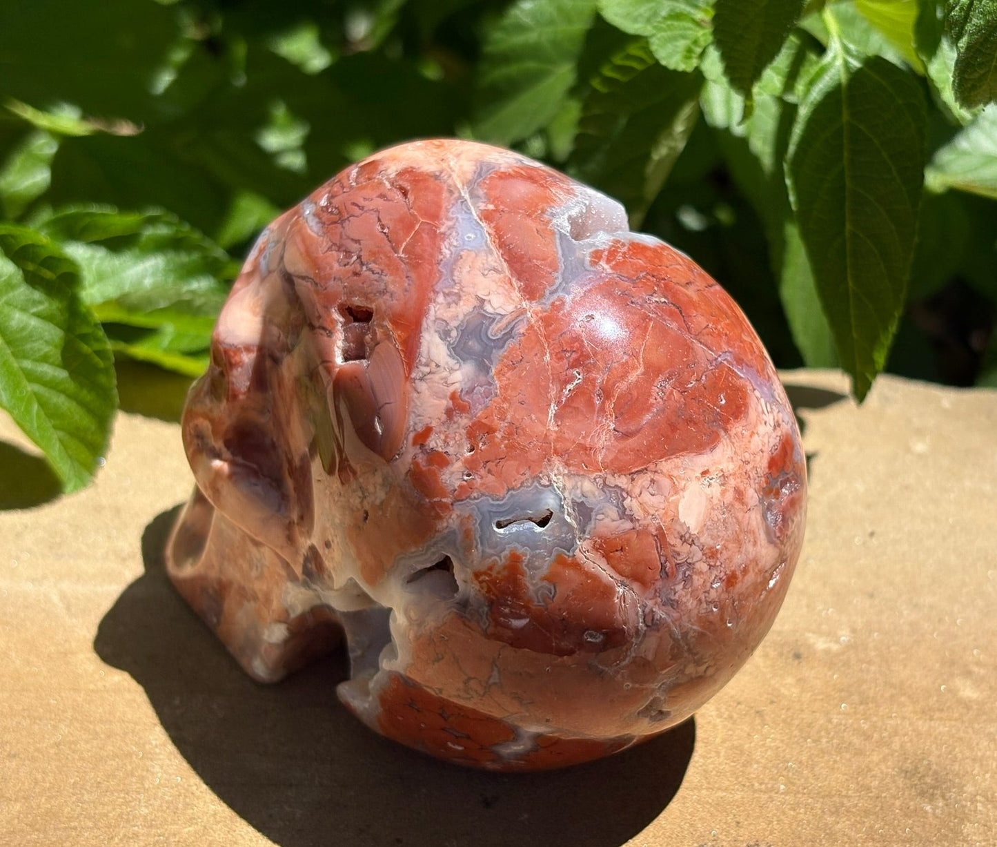 💀 Pink Petal Agate Skull with Druzy Crown – Grounded Joy, Ancient Wisdom & Spiraled Sparkle 1.65 lbs. | 4" x 2.5" x 3" |