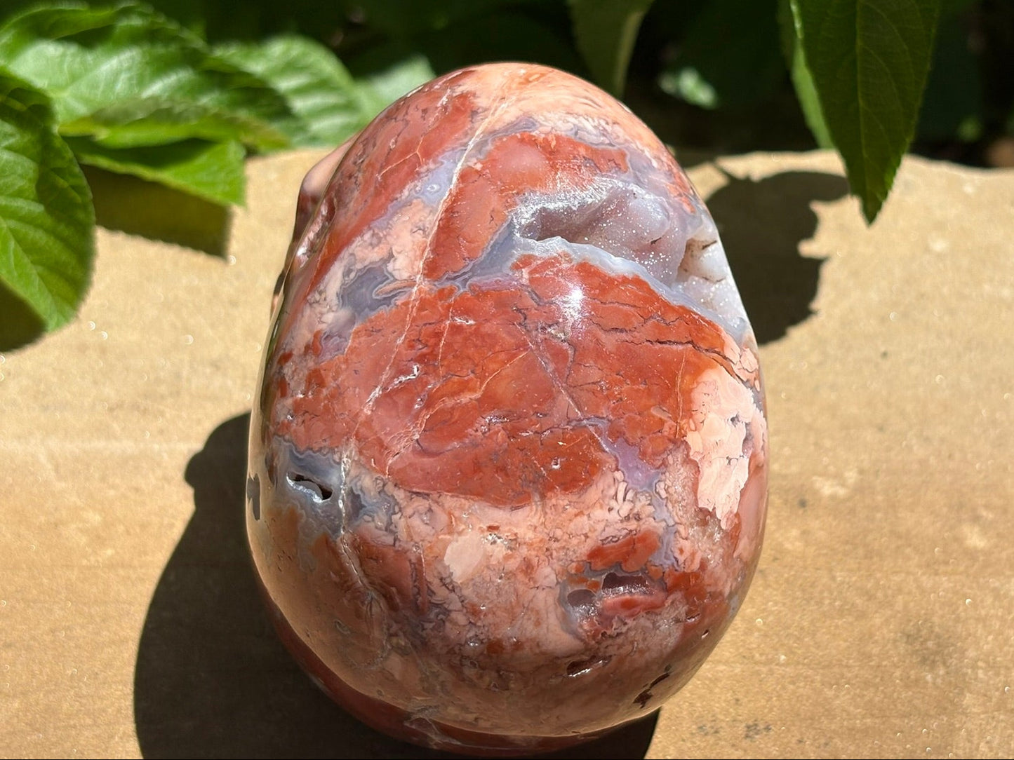 💀 Pink Petal Agate Skull with Druzy Crown – Grounded Joy, Ancient Wisdom & Spiraled Sparkle 1.65 lbs. | 4" x 2.5" x 3" |