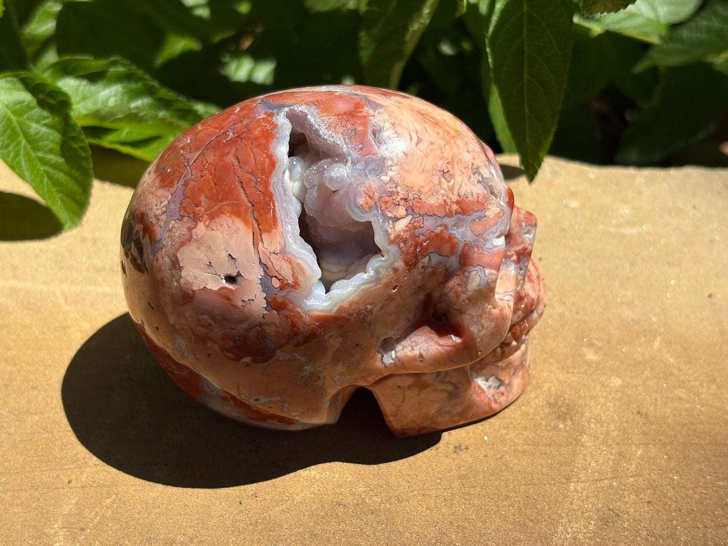 💀 Pink Petal Agate Skull with Druzy Crown – Grounded Joy, Ancient Wisdom & Spiraled Sparkle 1.65 lbs. | 4" x 2.5" x 3" |