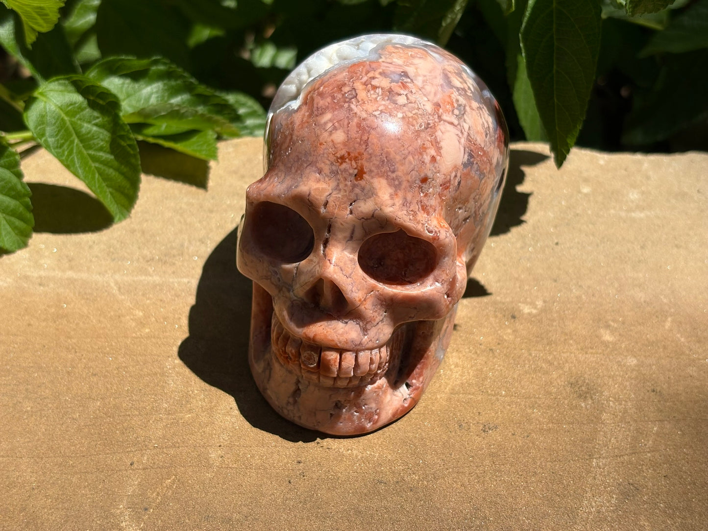 💀 Pink Petal Agate Skull with Druzy Crown – Grounded Joy, Ancient Wisdom & Spiraled Sparkle 1.58 lbs | 4" x 2.5" x 3.1" | Code: PA2