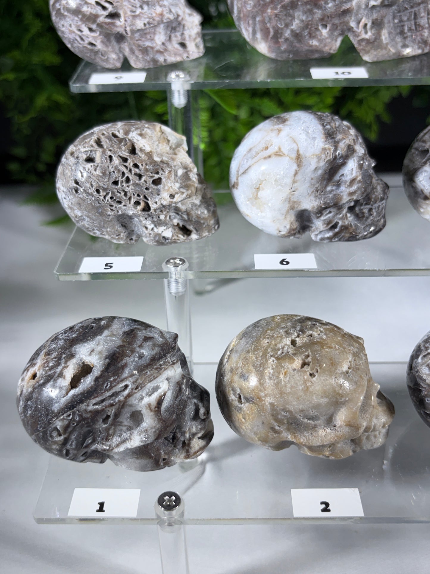 Druzy Agate Crystal Skull – Choose Your Skull | Transformation • Inner Wisdom • Grounding