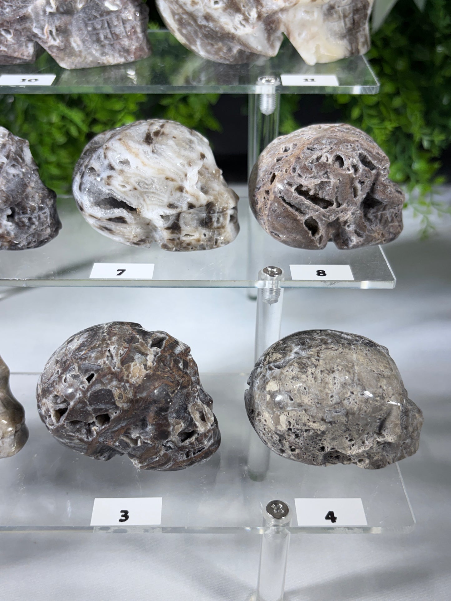 Druzy Agate Crystal Skull – Choose Your Skull | Transformation • Inner Wisdom • Grounding