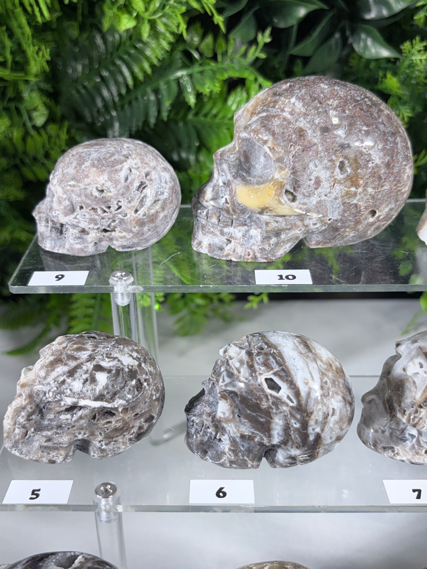 Druzy Agate Crystal Skull – Choose Your Skull | Transformation • Inner Wisdom • Grounding