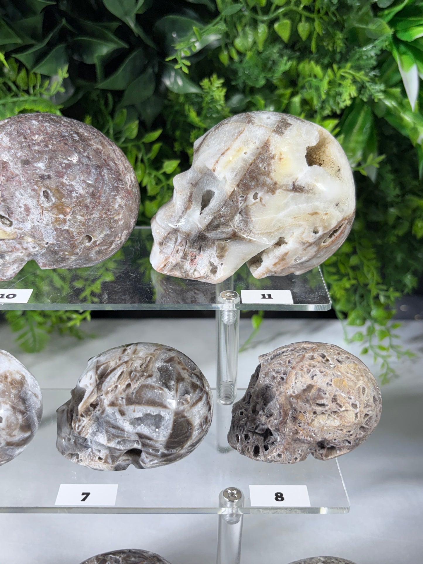 Druzy Agate Crystal Skull – Choose Your Skull | Transformation • Inner Wisdom • Grounding