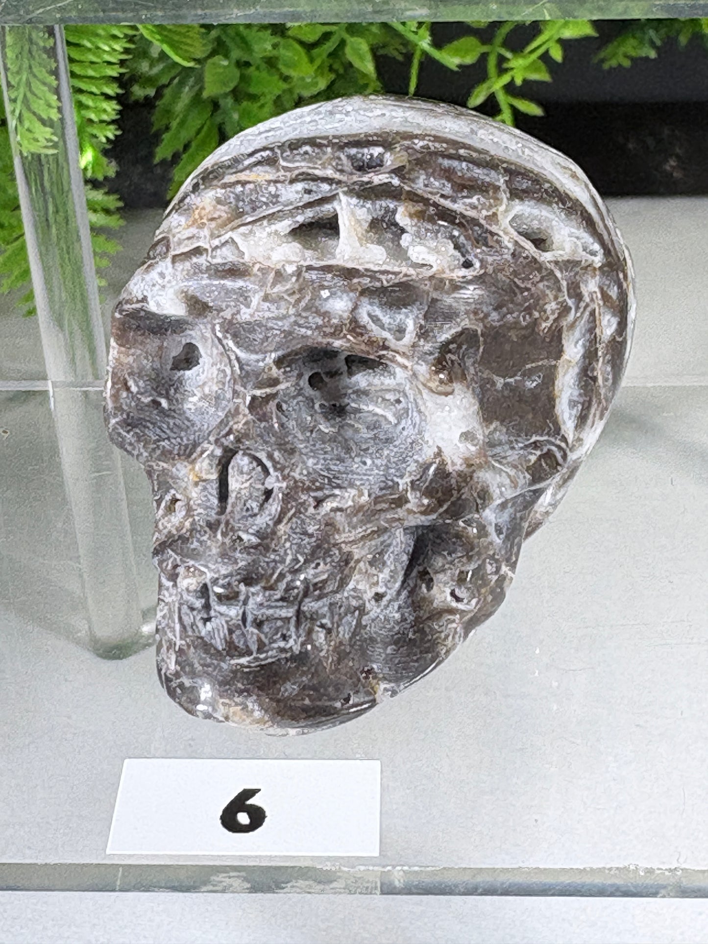 Druzy Agate Crystal Skull – Choose Your Skull | Transformation • Inner Wisdom • Grounding