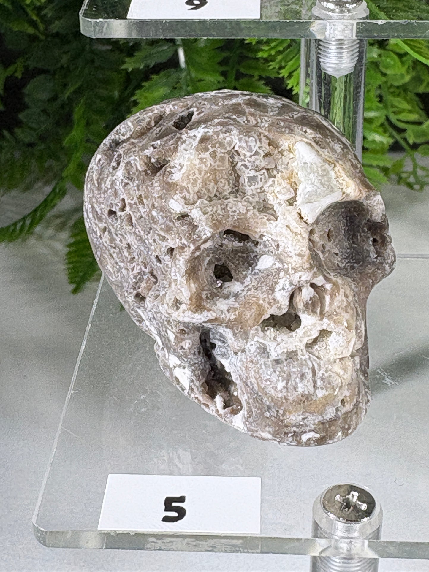 Druzy Agate Crystal Skull – Choose Your Skull | Transformation • Inner Wisdom • Grounding