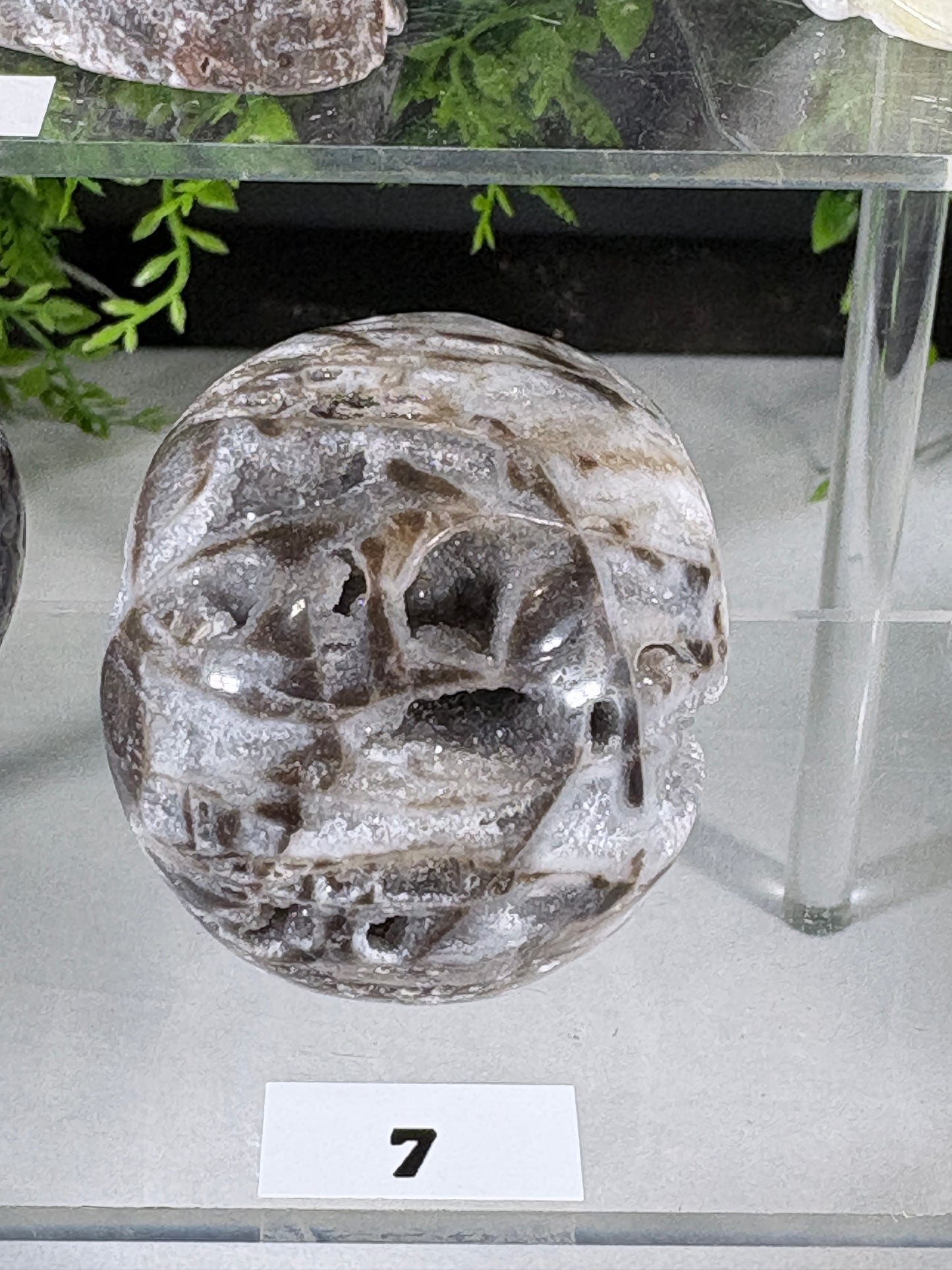 Druzy Agate Crystal Skull – Choose Your Skull | Transformation • Inner Wisdom • Grounding
