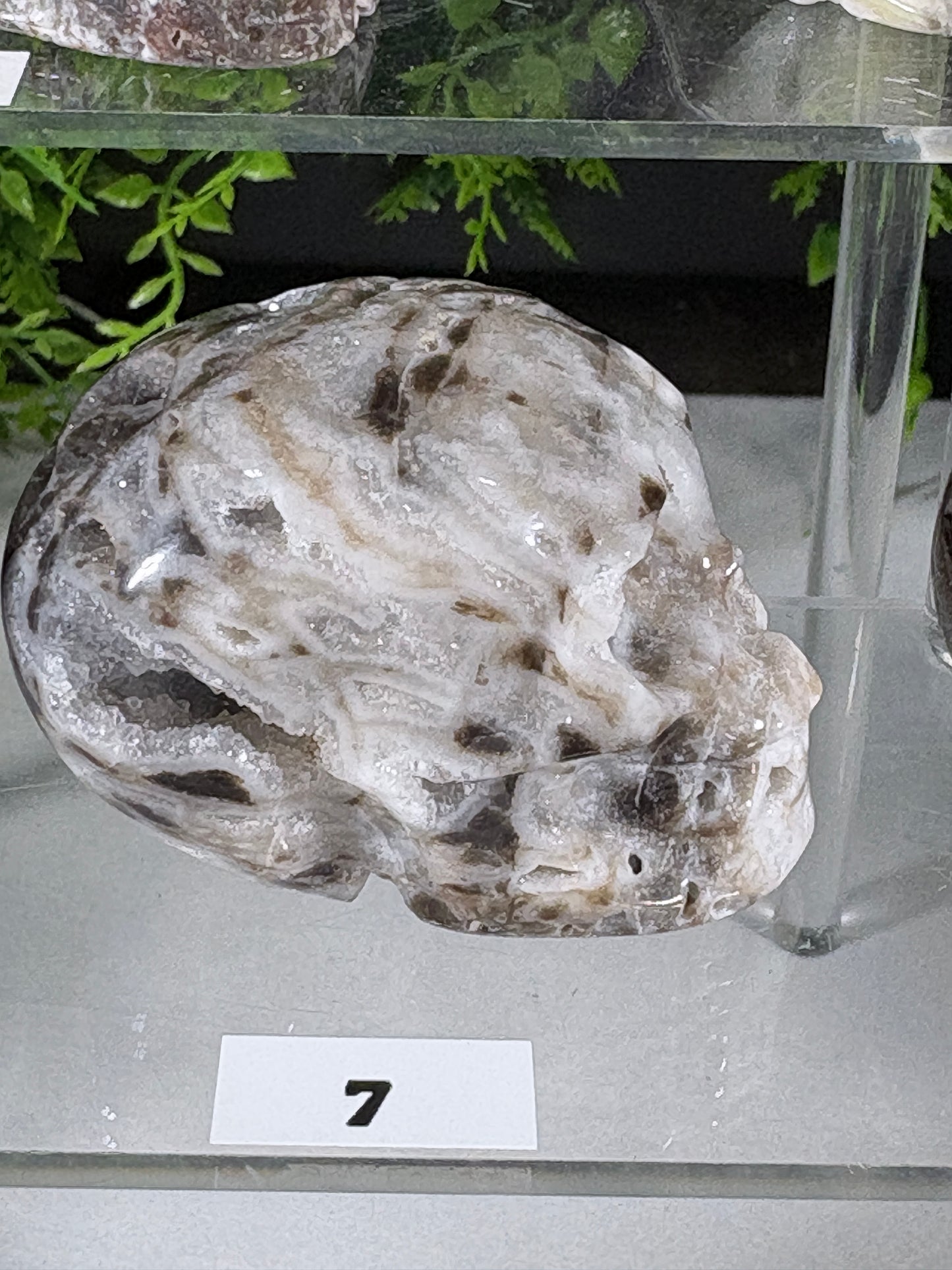 Druzy Agate Crystal Skull – Choose Your Skull | Transformation • Inner Wisdom • Grounding