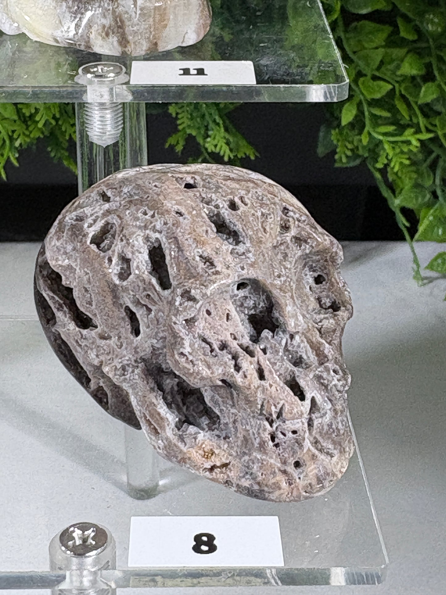 Druzy Agate Crystal Skull – Choose Your Skull | Transformation • Inner Wisdom • Grounding