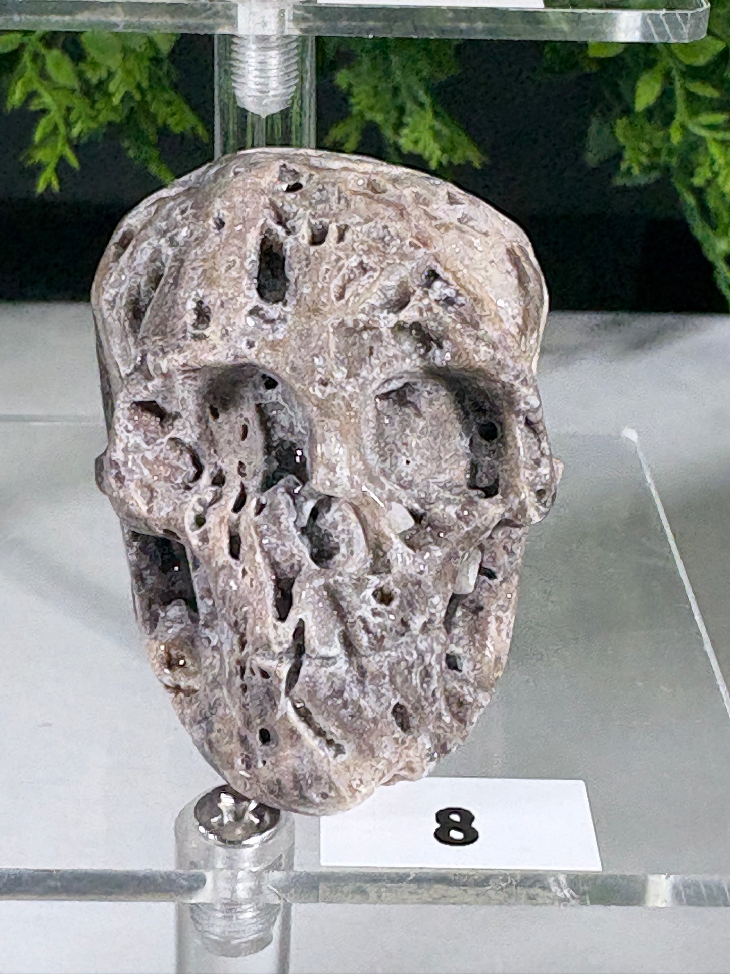 Druzy Agate Crystal Skull – Choose Your Skull | Transformation • Inner Wisdom • Grounding