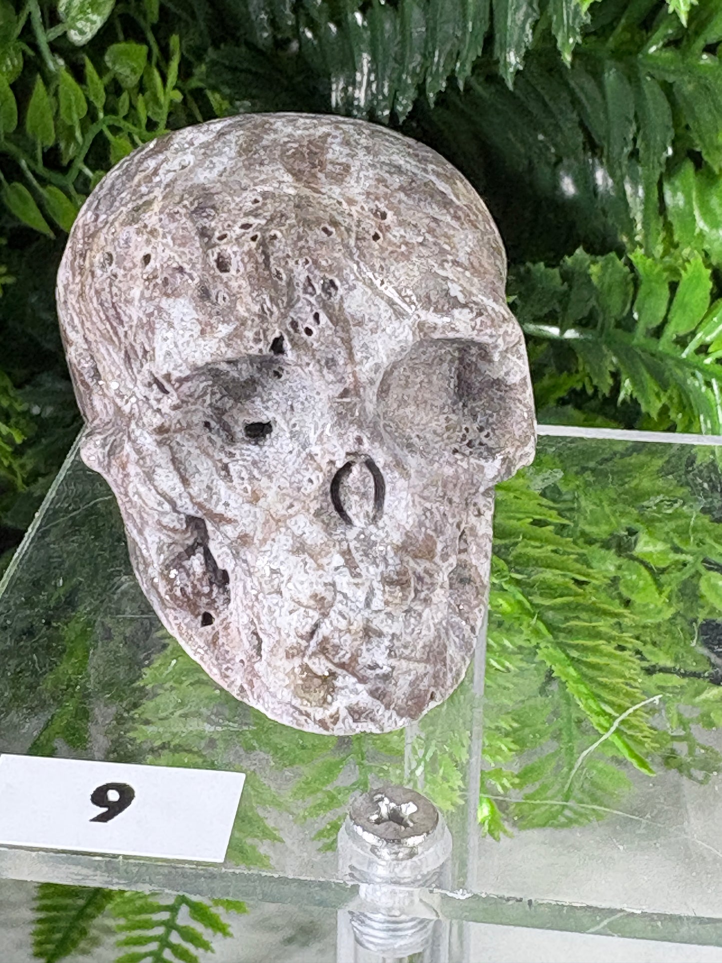 Druzy Agate Crystal Skull – Choose Your Skull | Transformation • Inner Wisdom • Grounding