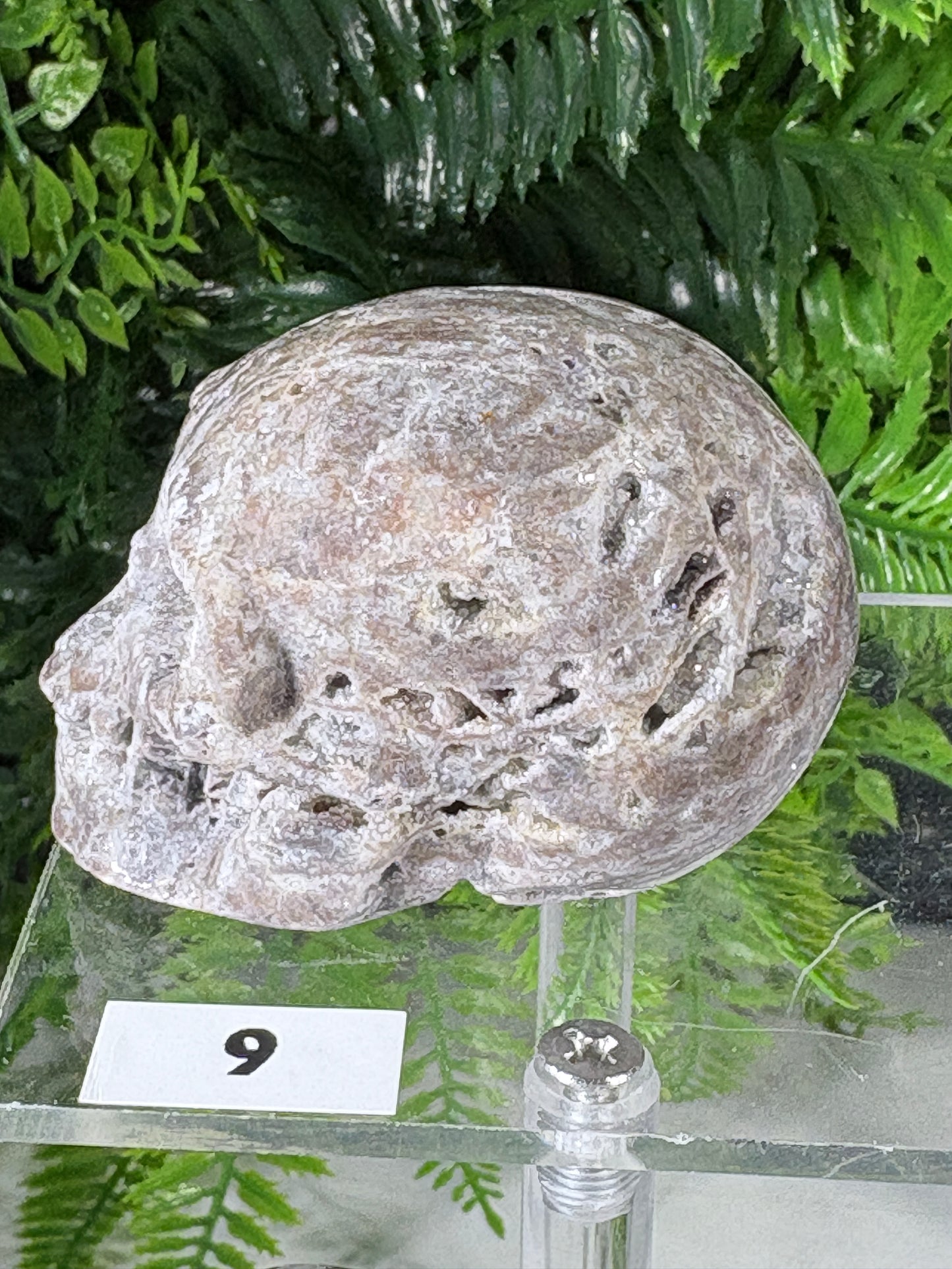 Druzy Agate Crystal Skull – Choose Your Skull | Transformation • Inner Wisdom • Grounding
