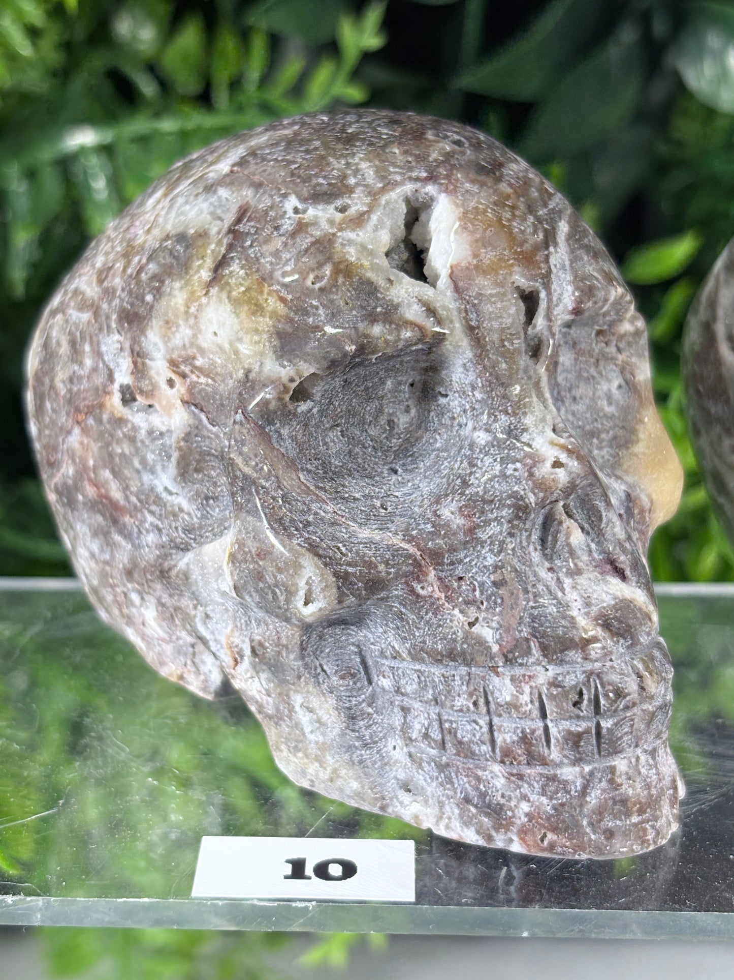 Druzy Agate Crystal Skull – Choose Your Skull | Transformation • Inner Wisdom • Grounding
