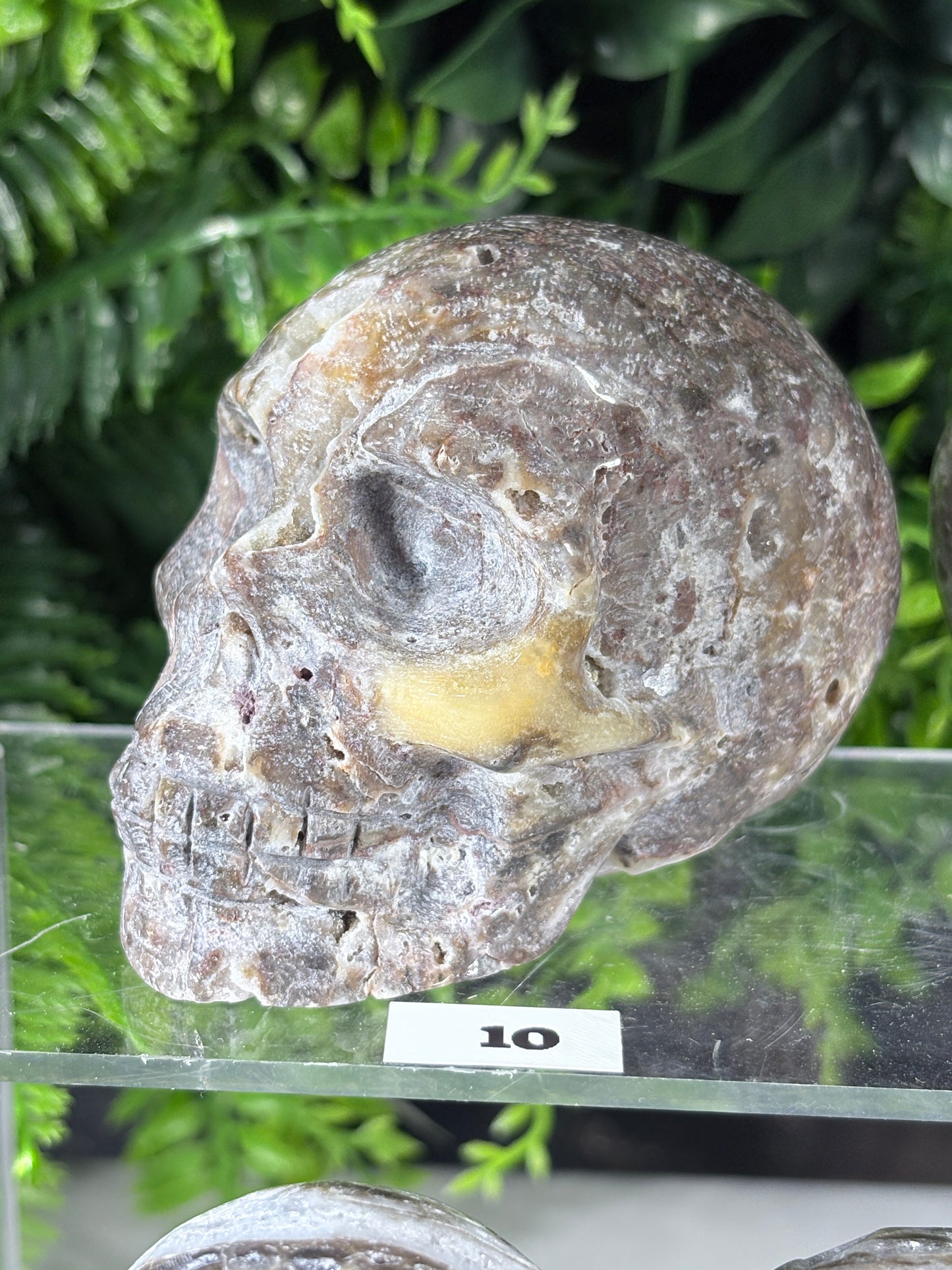Druzy Agate Crystal Skull – Choose Your Skull | Transformation • Inner Wisdom • Grounding