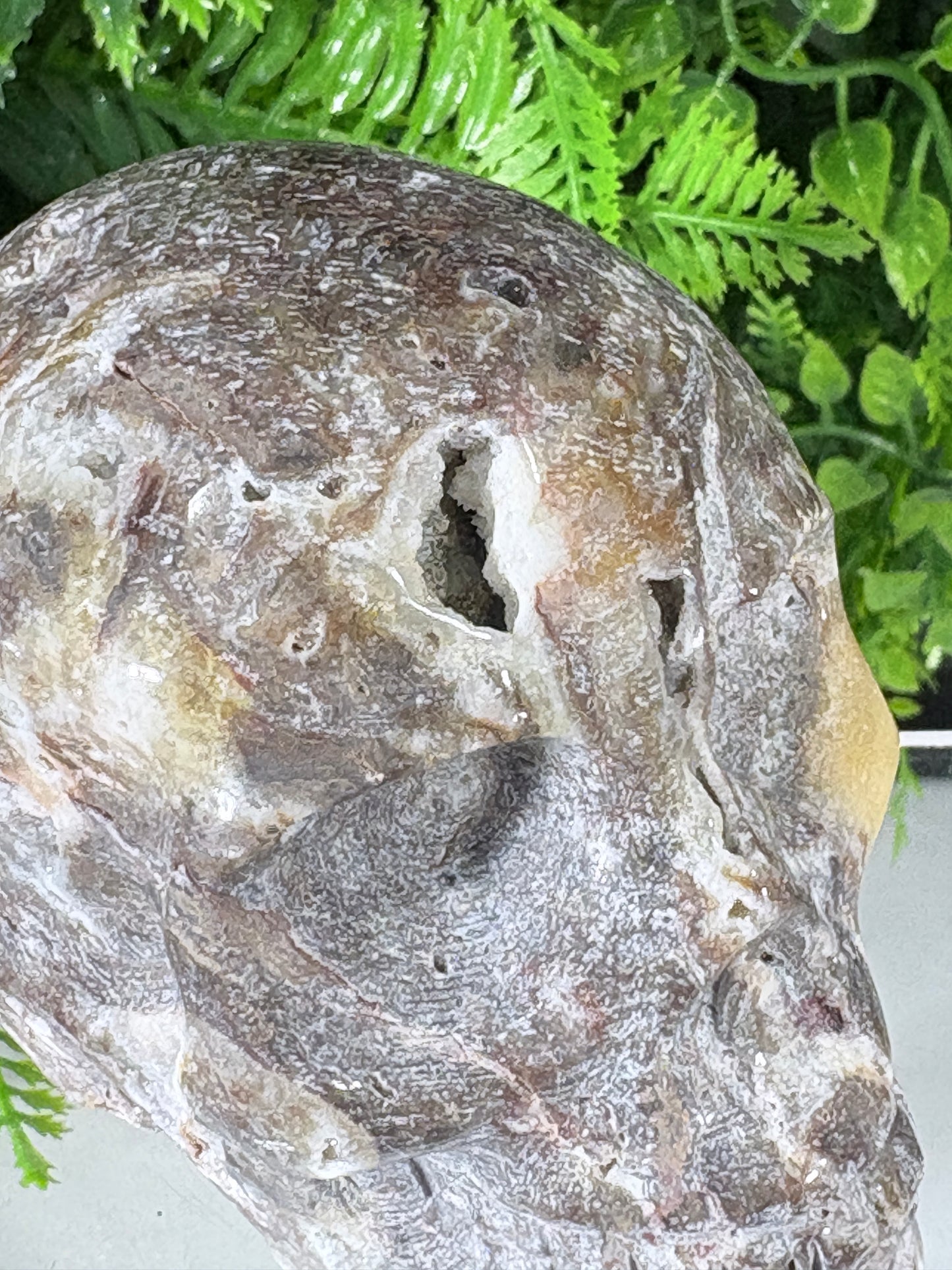 Druzy Agate Crystal Skull – Choose Your Skull | Transformation • Inner Wisdom • Grounding