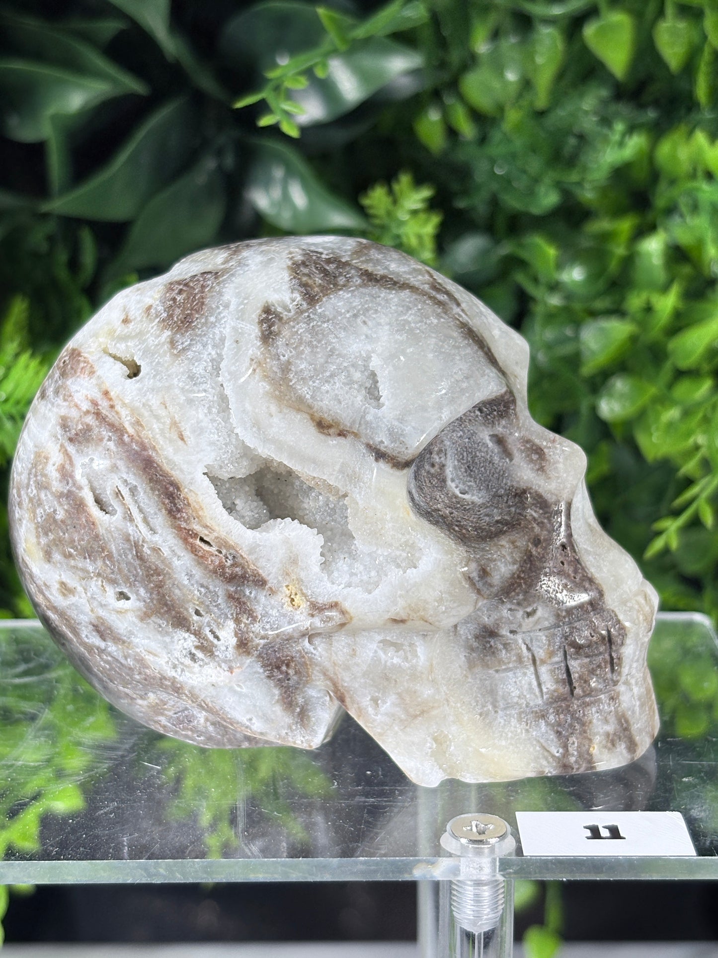 Druzy Agate Crystal Skull – Choose Your Skull | Transformation • Inner Wisdom • Grounding