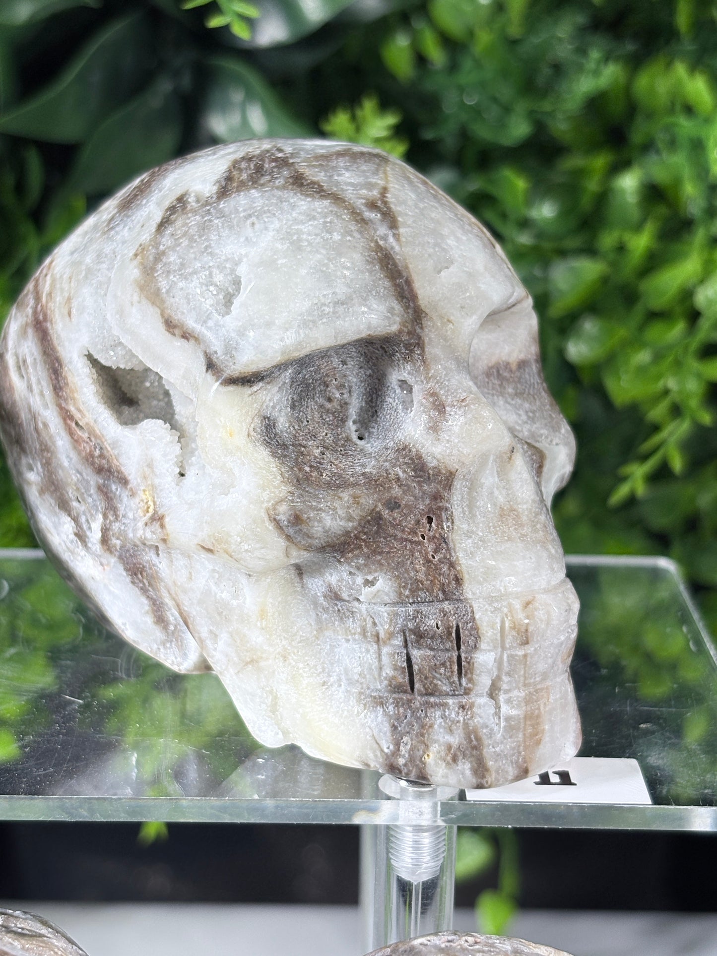 Druzy Agate Crystal Skull – Choose Your Skull | Transformation • Inner Wisdom • Grounding