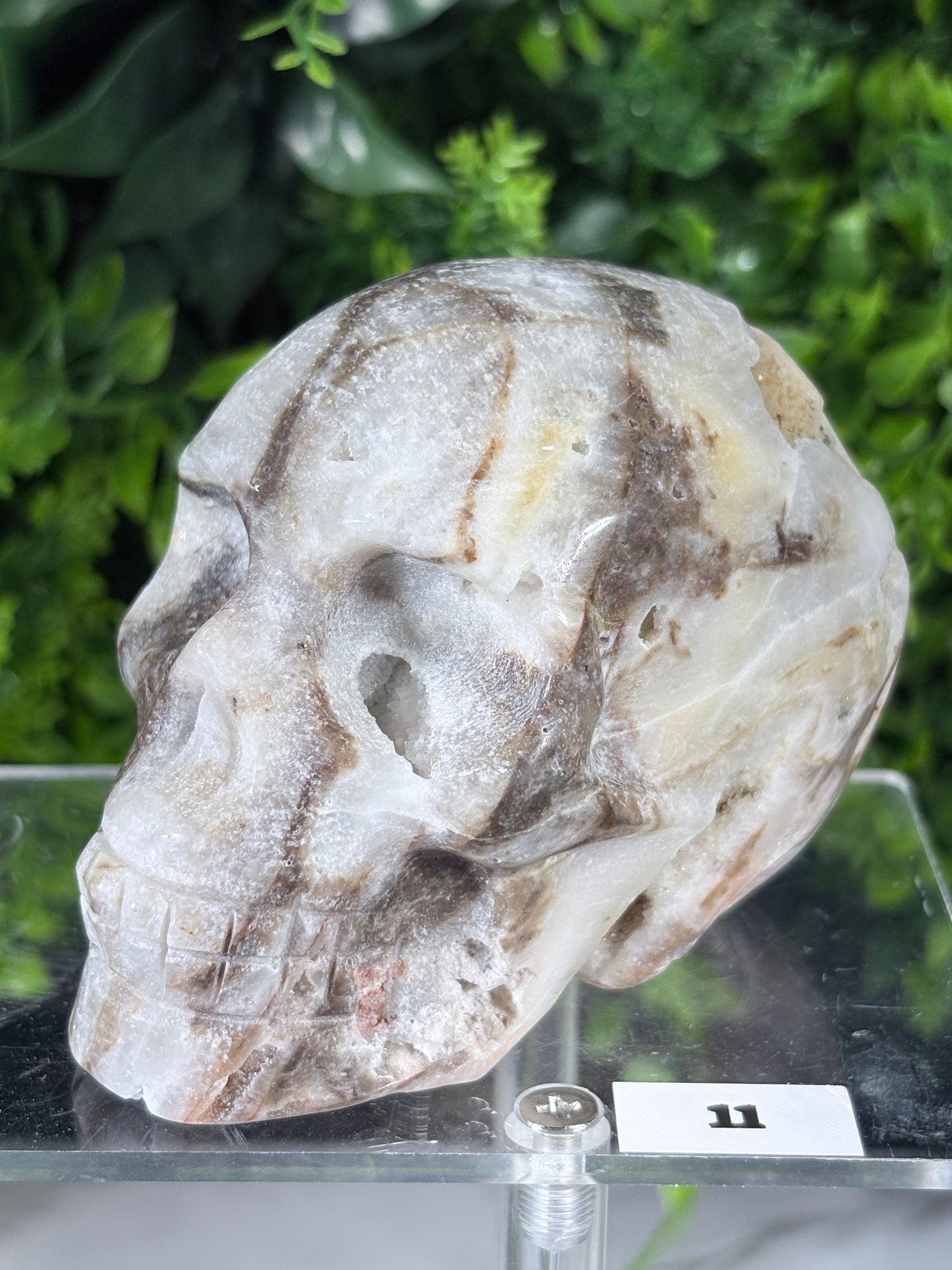Druzy Agate Crystal Skull – Choose Your Skull | Transformation • Inner Wisdom • Grounding