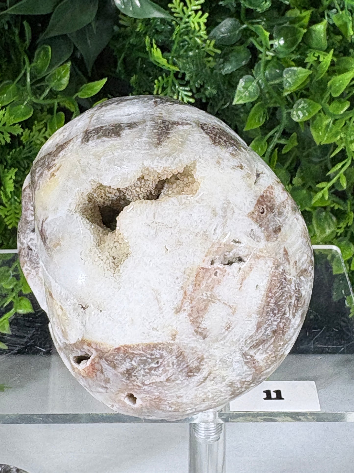 Druzy Agate Crystal Skull – Choose Your Skull | Transformation • Inner Wisdom • Grounding