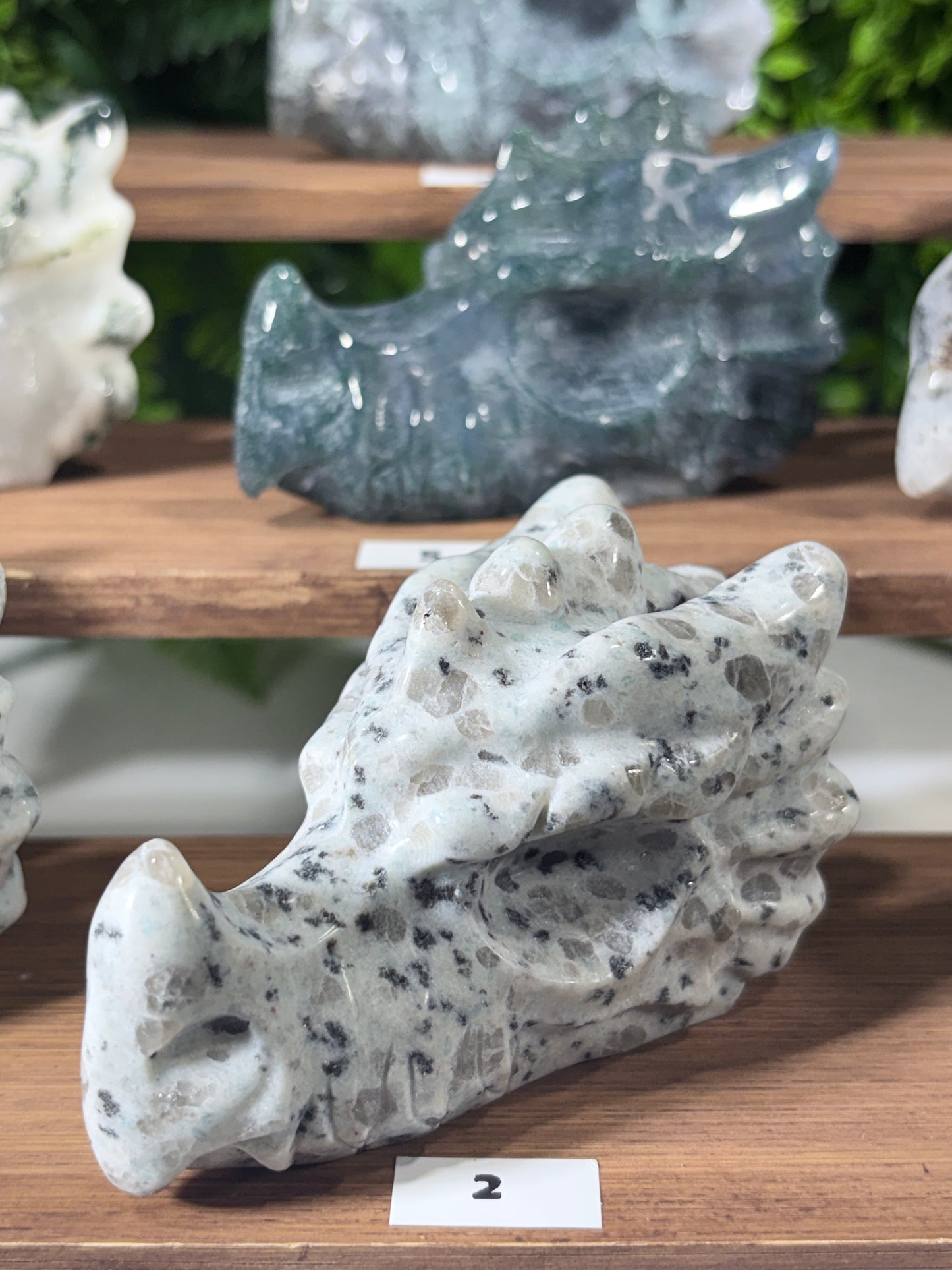 Moss Agate & Kiwi Jasper Dragon Guardians – Choose Your Dragon  Growth • Courage • Ancient Earth Magic