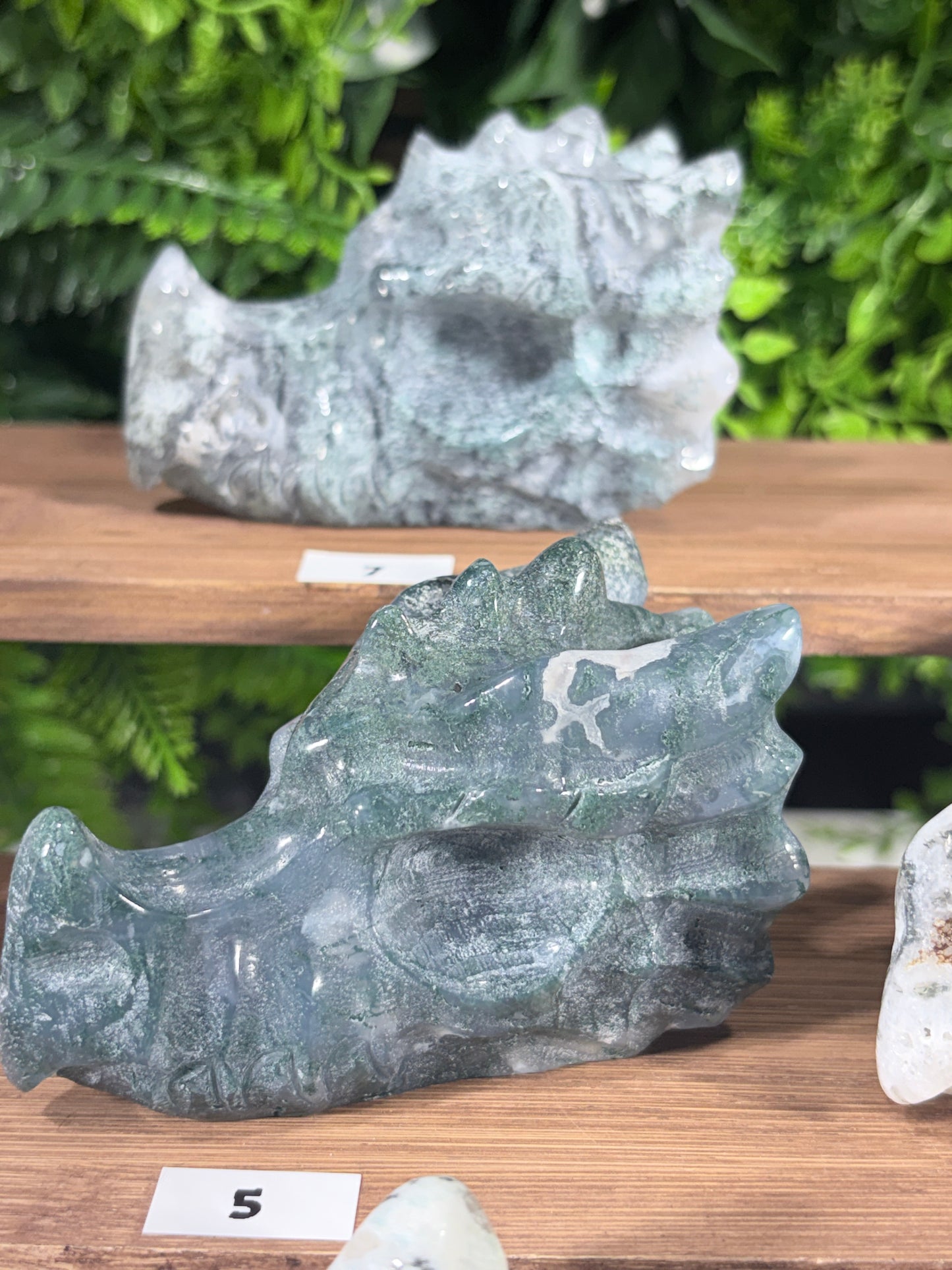 Moss Agate & Kiwi Jasper Dragon Guardians – Choose Your Dragon  Growth • Courage • Ancient Earth Magic
