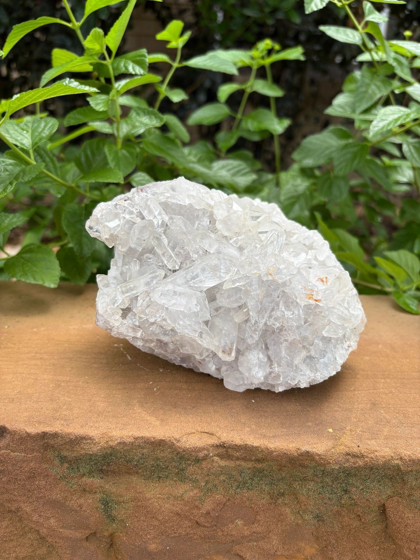 Clear Quartz Crystal Cluster — Amplification, Clarity & Prism Glow Raw, One-of-a-Kind | Over 4 lb | Rainbow Flashes